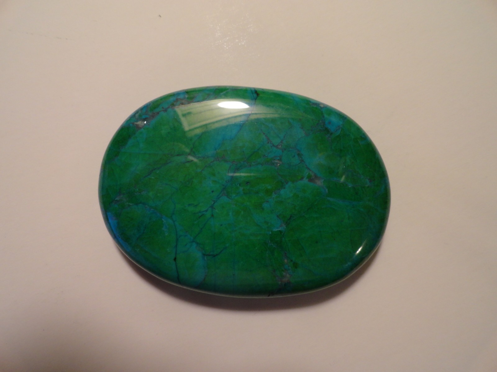Polished Palm Stone lot