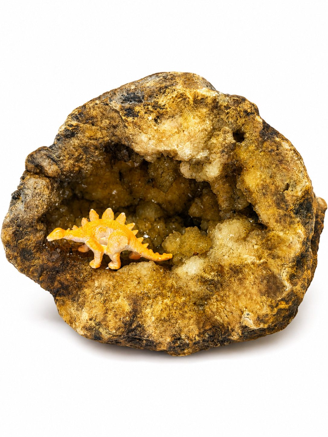 5 lb 3 oz Open KY Geode Golden Crystal Cavity Large Display Specimen Collectible