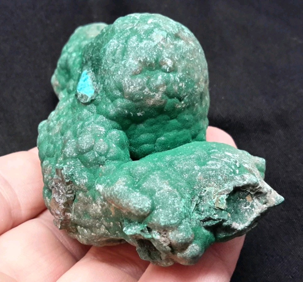 3.75″ MALACHITE with CHRYSOCOLLA from the Democratic Republic of Congo