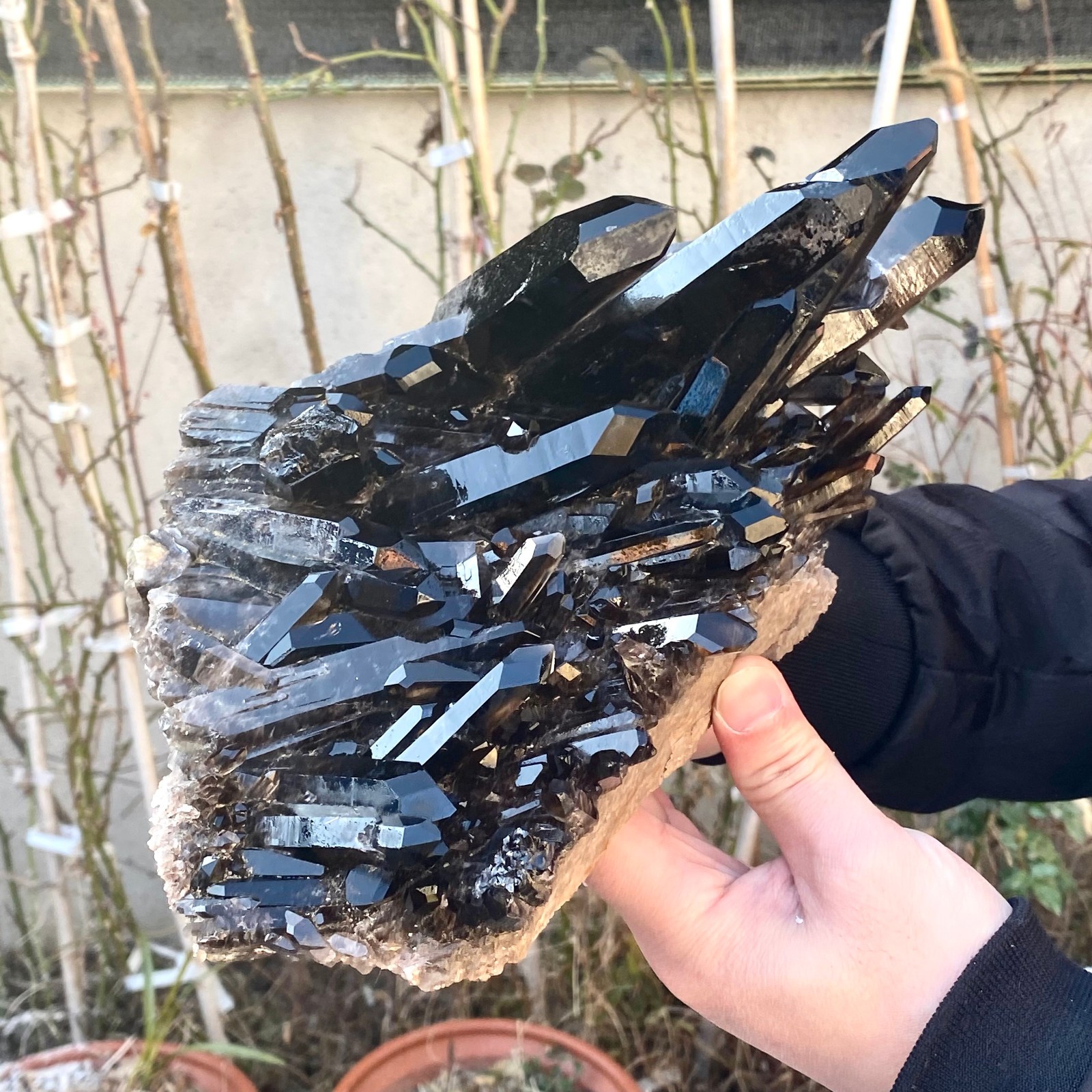 5.25LB Large Natural black Quartz Crystal Cluster Rough Specimen Healing Stone.