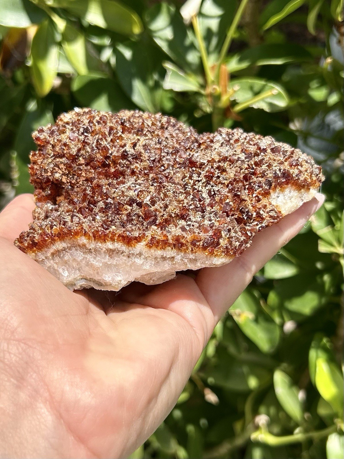 Natural Citrine Crystal Cluster – Sparkling Druzy Honey Quartz Specimen