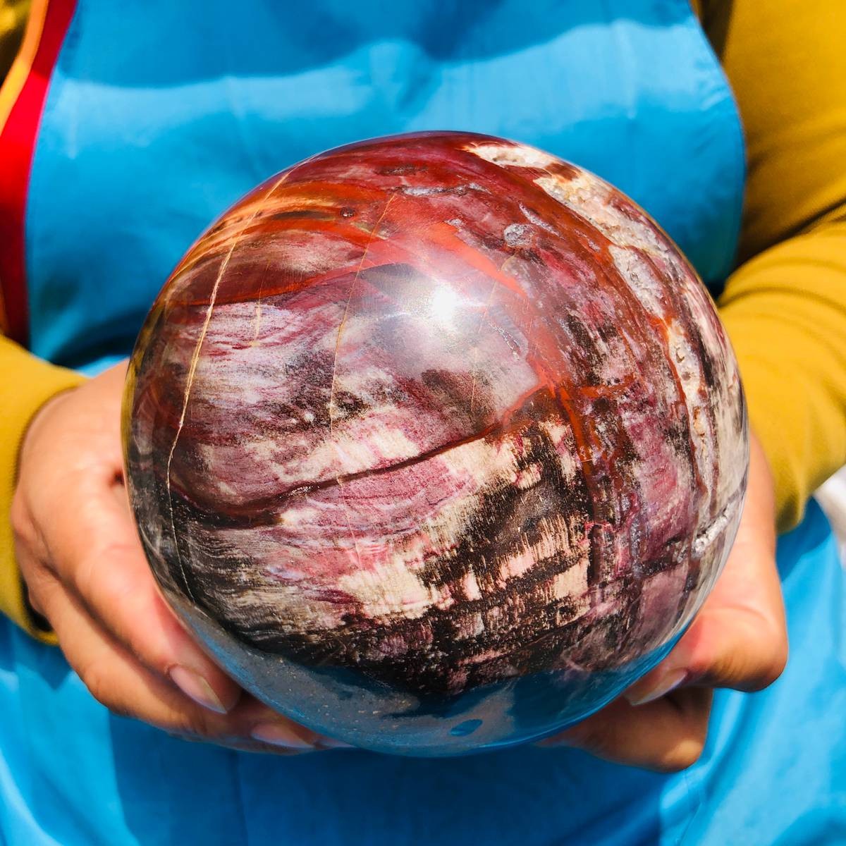 5.06LB Rare Natural Petrified Wood Ball Crystal Quartz Mineral Healing 4705
