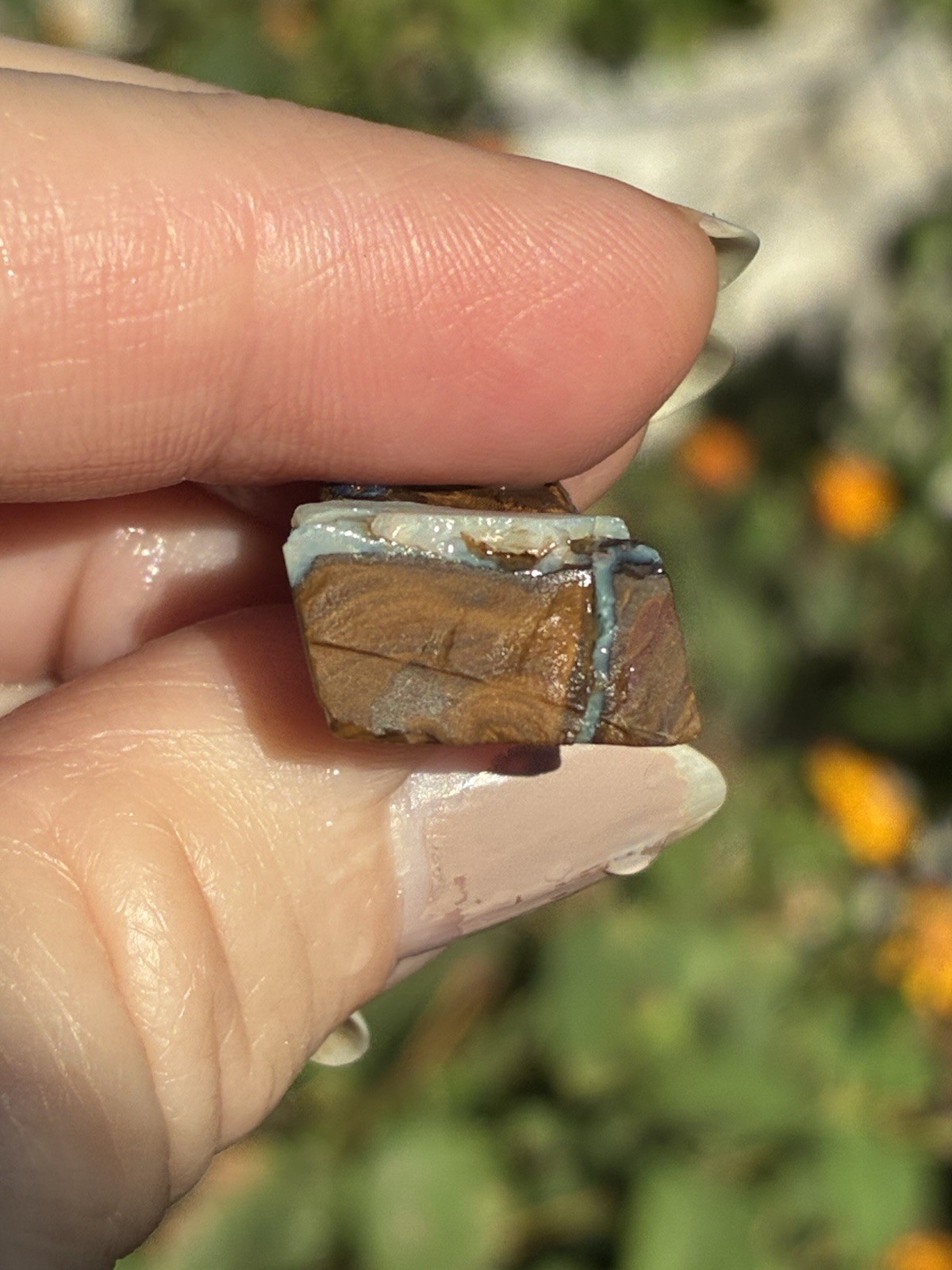 Pretty 24ct Australian Boulder Opal Rough Loose Multicolor Purple Specimen QQ