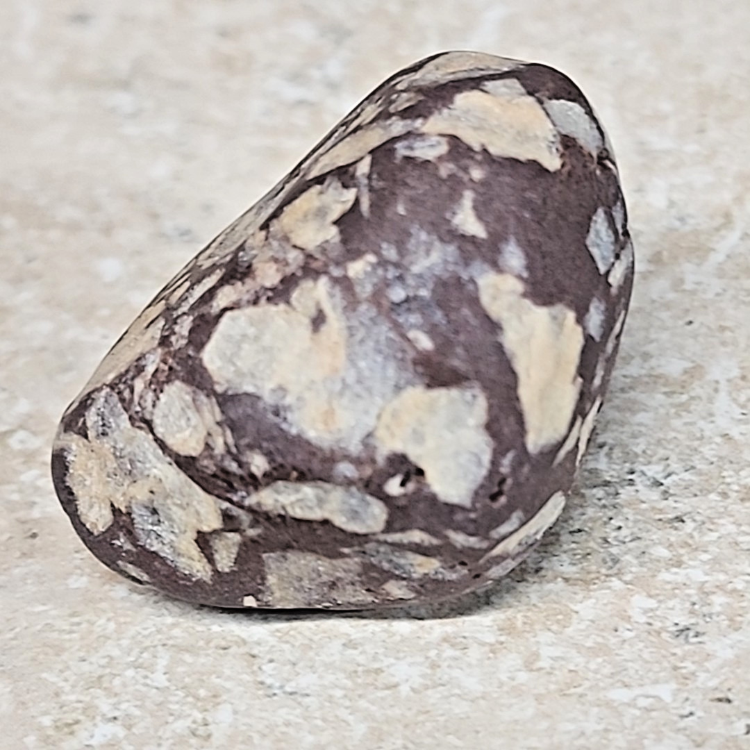 Michigan Pudding Stone| Rough Tumbled Conglomerate 1.2 Ounce 1-1/4 Inch
