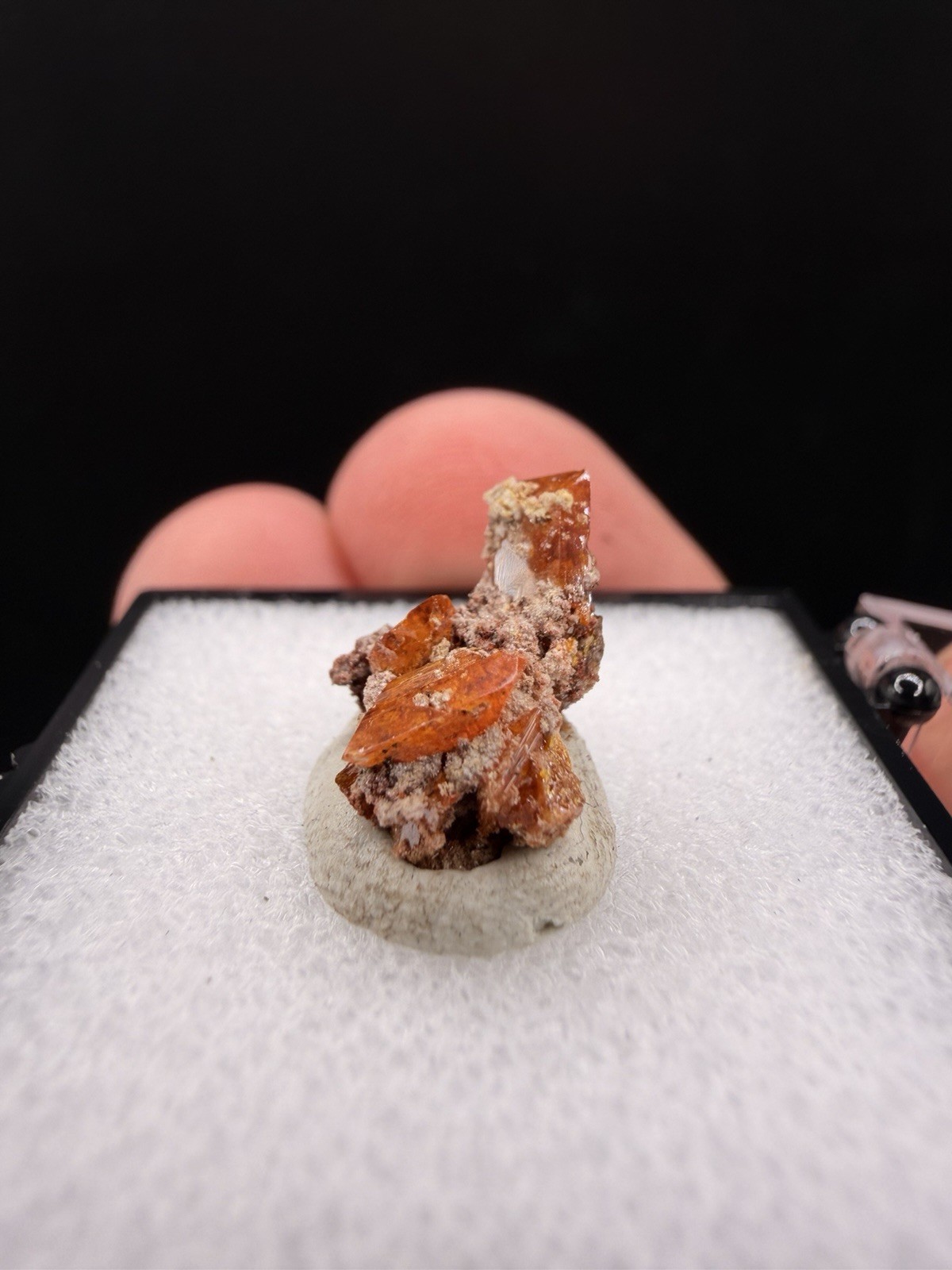 Old Stock Deep Red Wulfenite Crystal Cluster (Thumbnail) – Red Cloud Mine, AZ