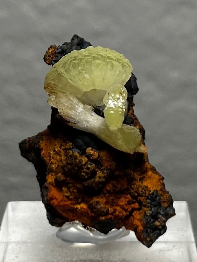 adaminte on limonite matrix ex. Rock Currier no. 146
