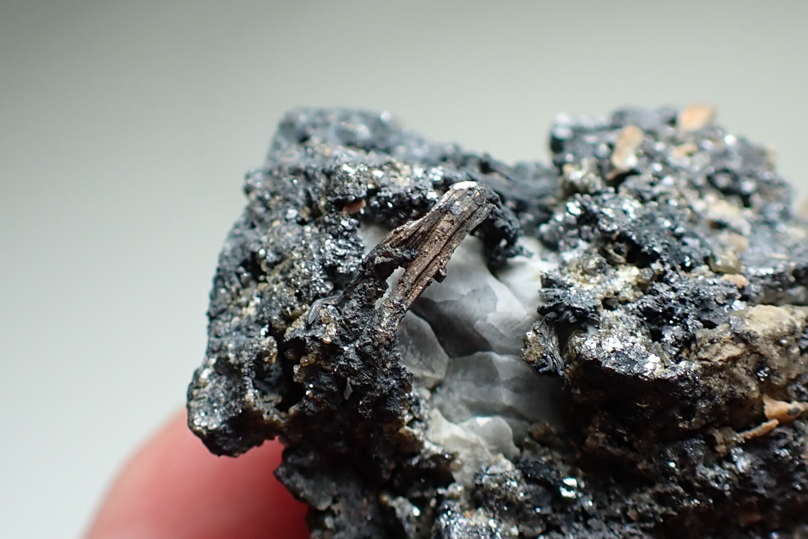 SILVER * WIRES ON CALCITE + GALENA * RARE LOCALITY !!! Trebsko, CZECH REPUBLIC