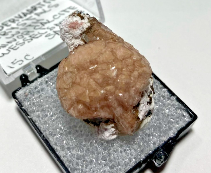 Exquisite VERY Rare Poldervaartite (Olmiite variety) & minor Calcite. S.A.