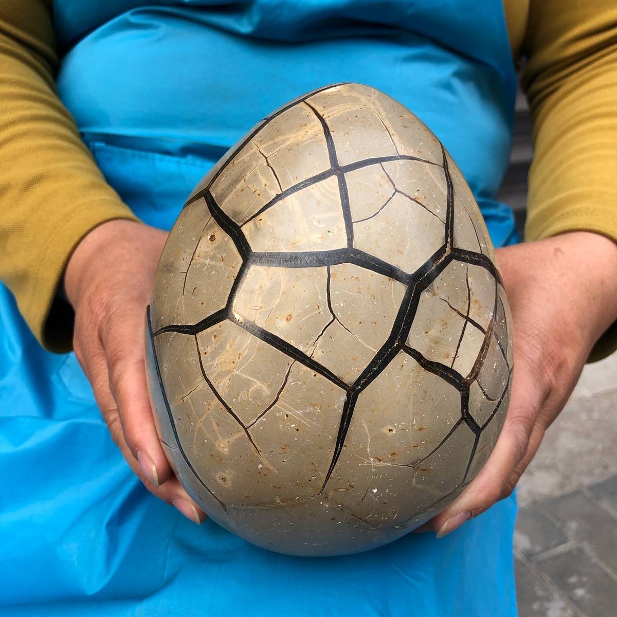 7.23LB Natural Septarian Dragon Egg Geode with Lid Reiki Energy Healing Crystal