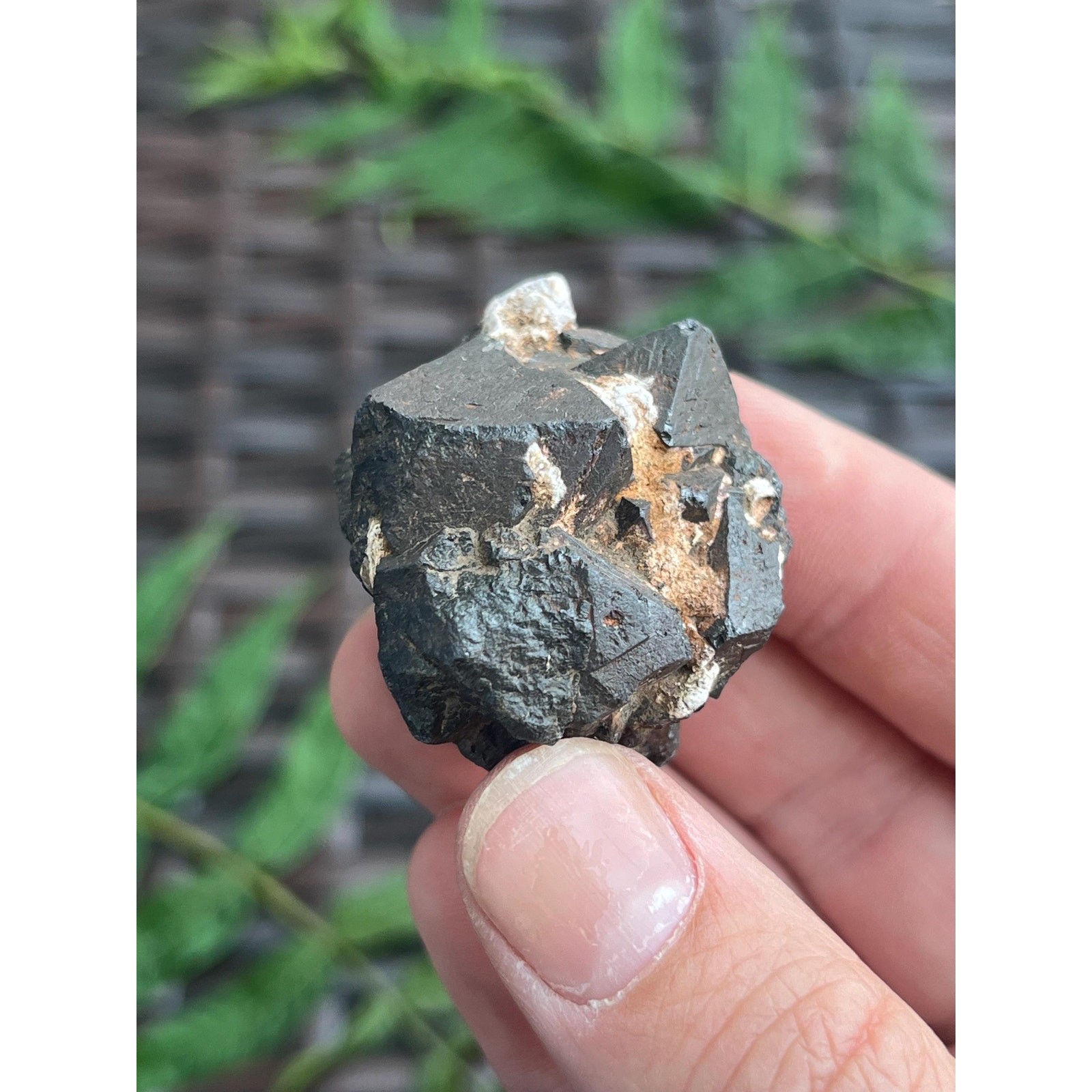 Raw Octahedral Magnetite Crystal Cluster from Utah | Natural Magnetite Specimen