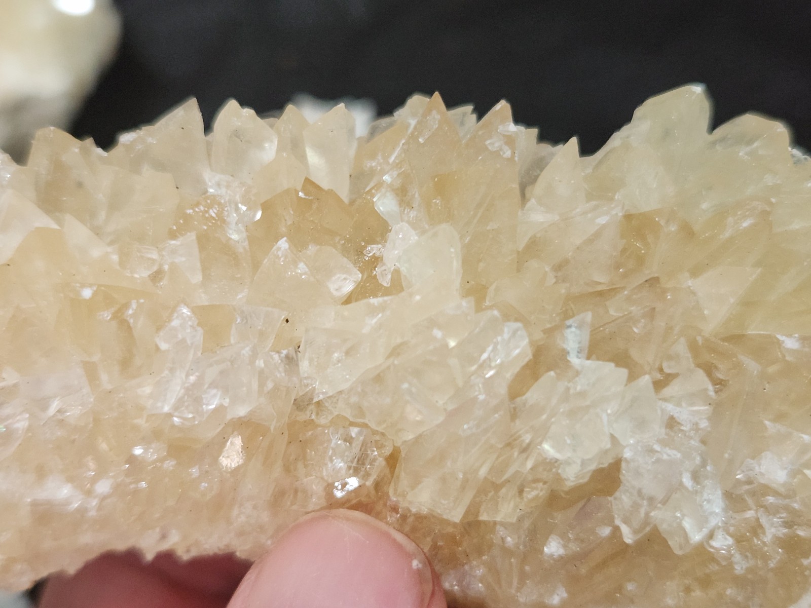 Calcite Crystal Collection 5 pieces from Florida LOT Honey Clusters UV Mineral