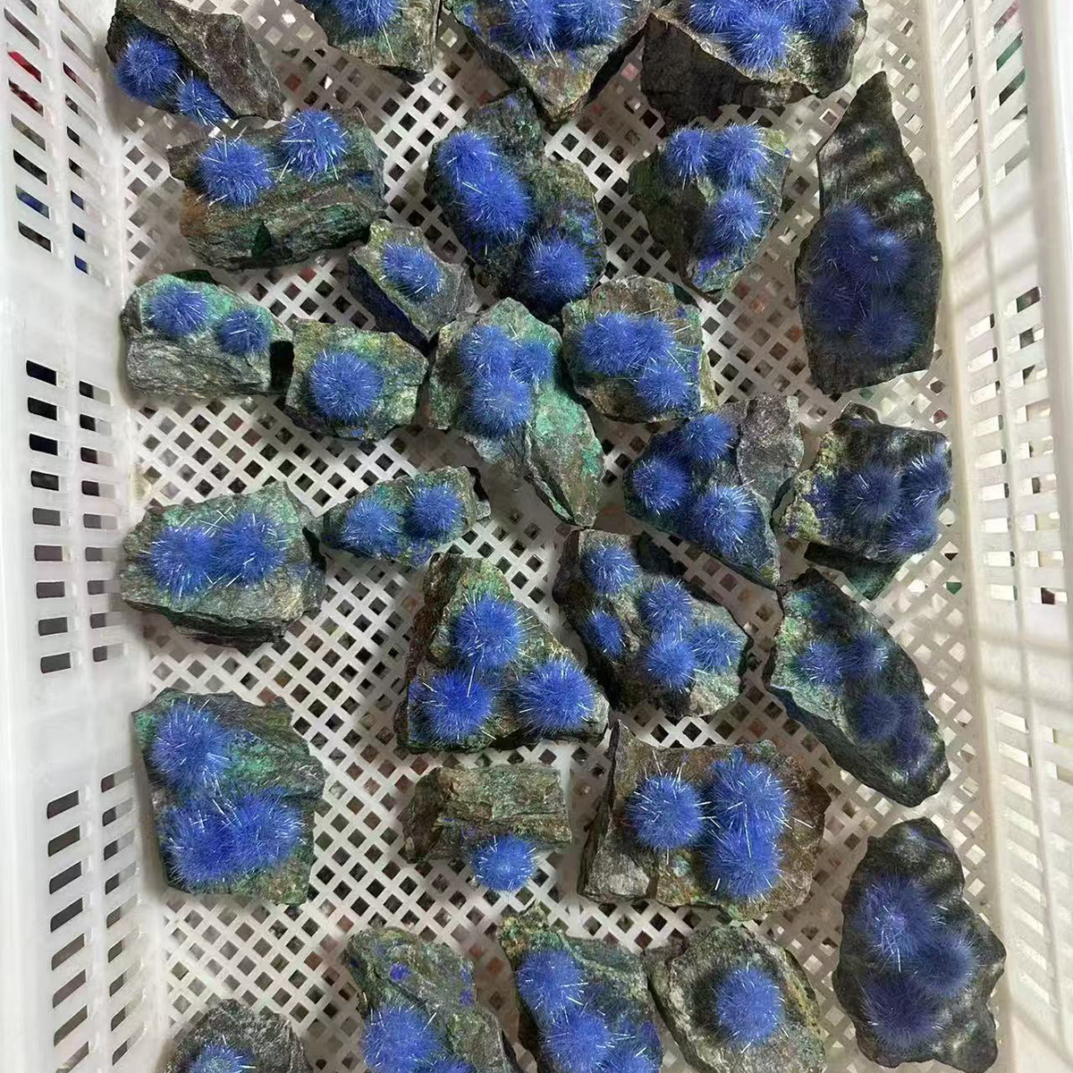 50-80g Blue Dandelion Zeolite Quartz Crystal Healing Cluster Mineral Specimen