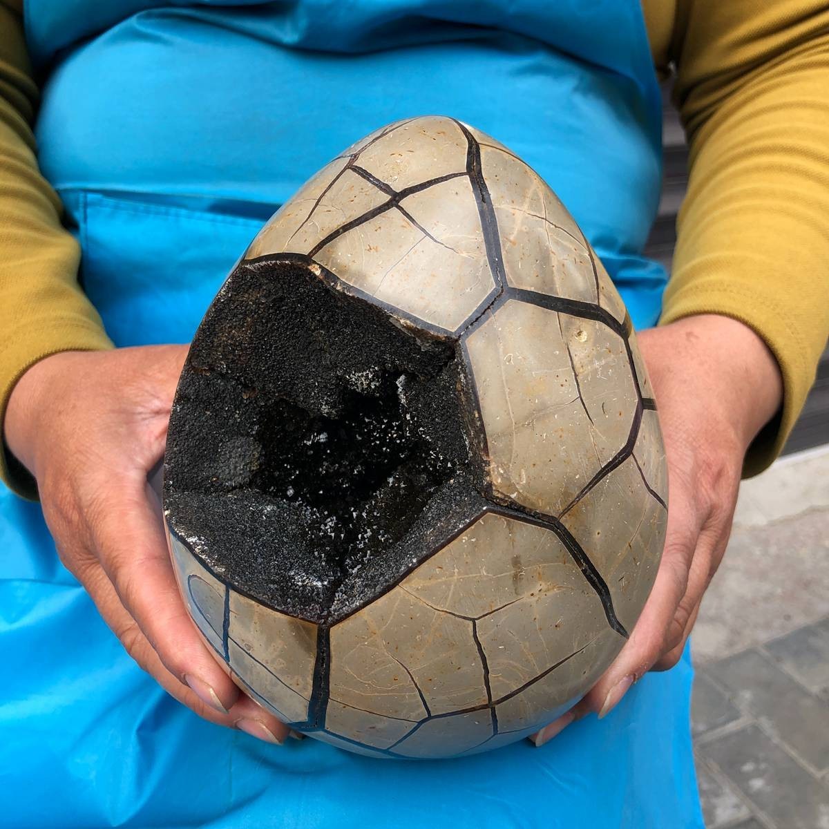 7.23LB Natural Septarian Dragon Egg Geode with Lid Reiki Energy Healing Crystal