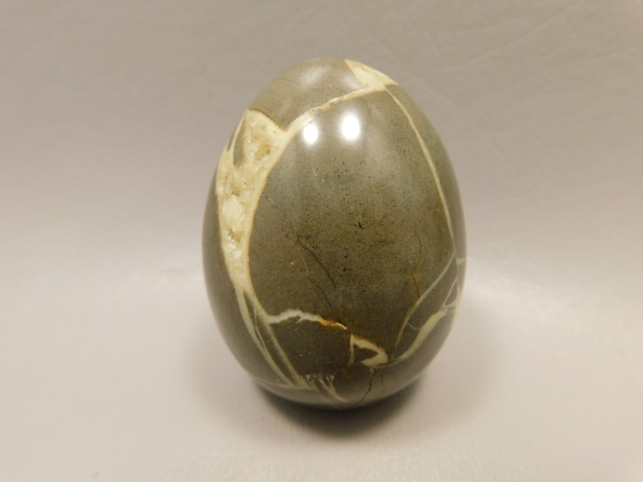 Septarian Nodule Egg Shaped 2.35 inch Polished Rock Utah Stone #O6