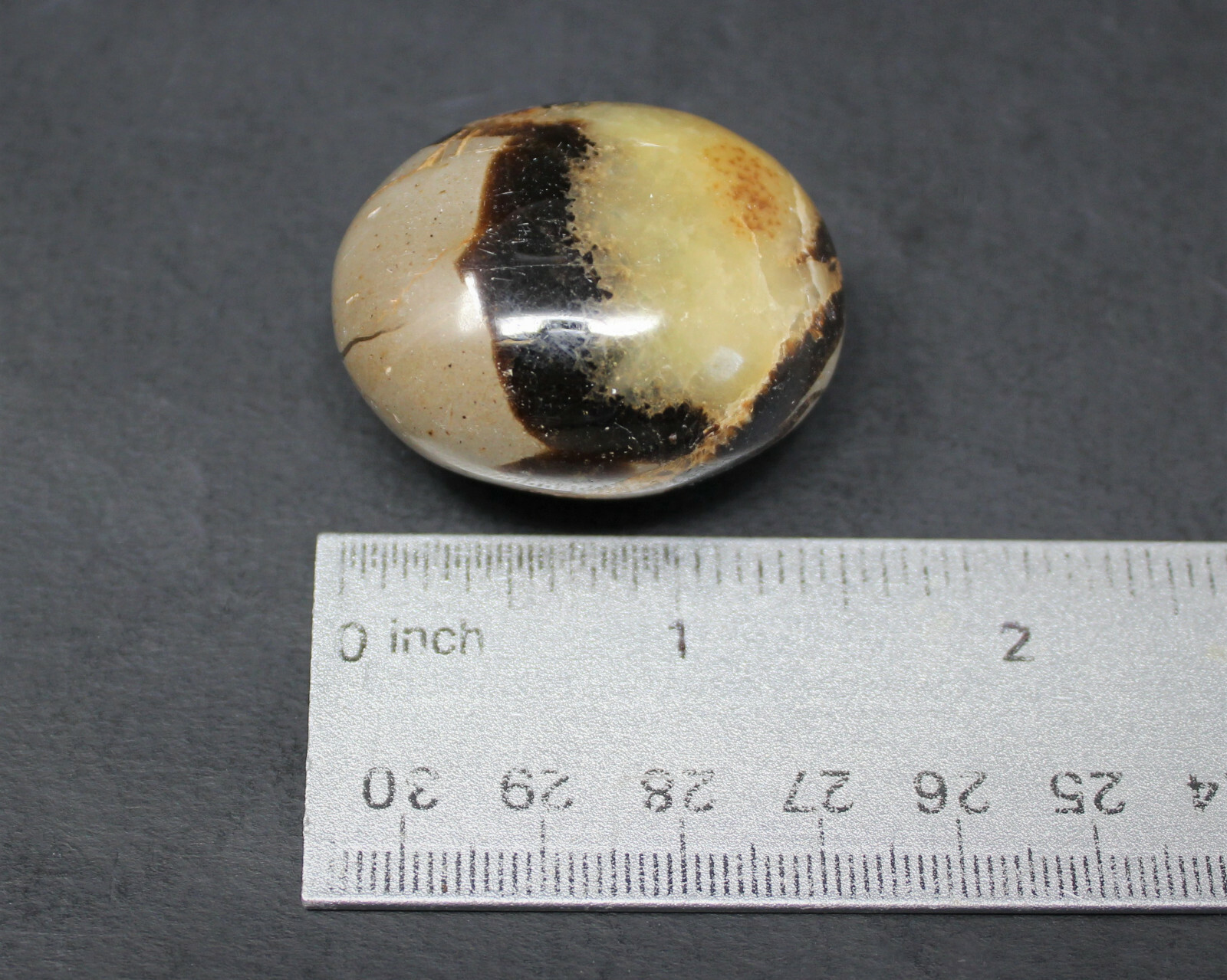 Septarian Hand Polished Palm Stone: ‘A’ Grade Septarian Pebble, Crystal