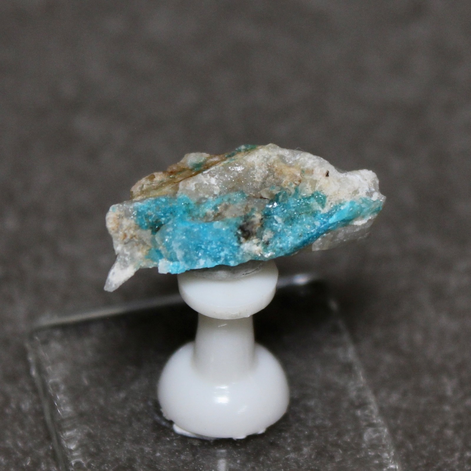 TURQUOISE on quartz. Bishop Mine, Lynch Station, Virginia. #5218