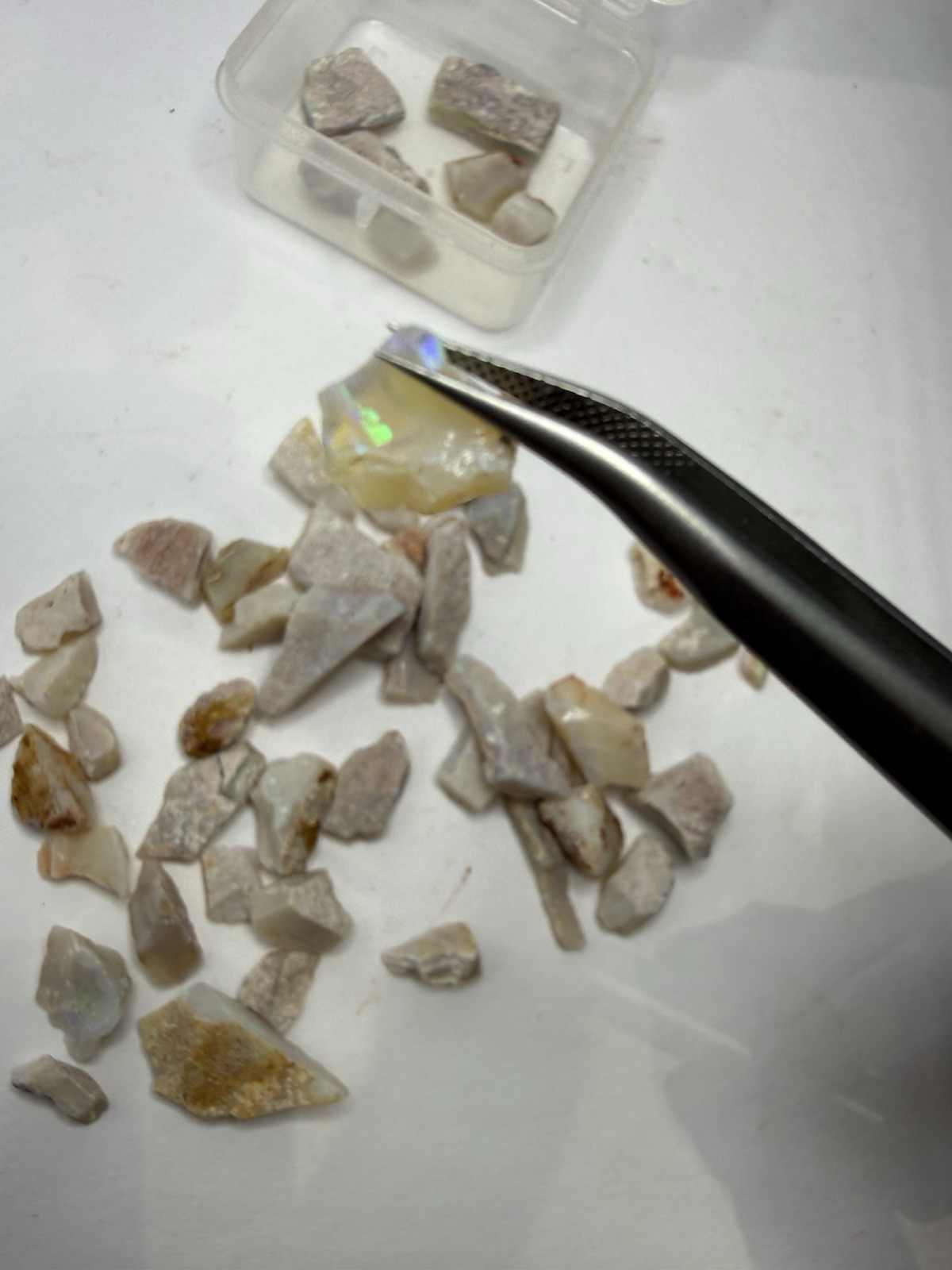 Lot Of Natural Australian Opals Multicolor Flash 26g Total With Plastic Case
