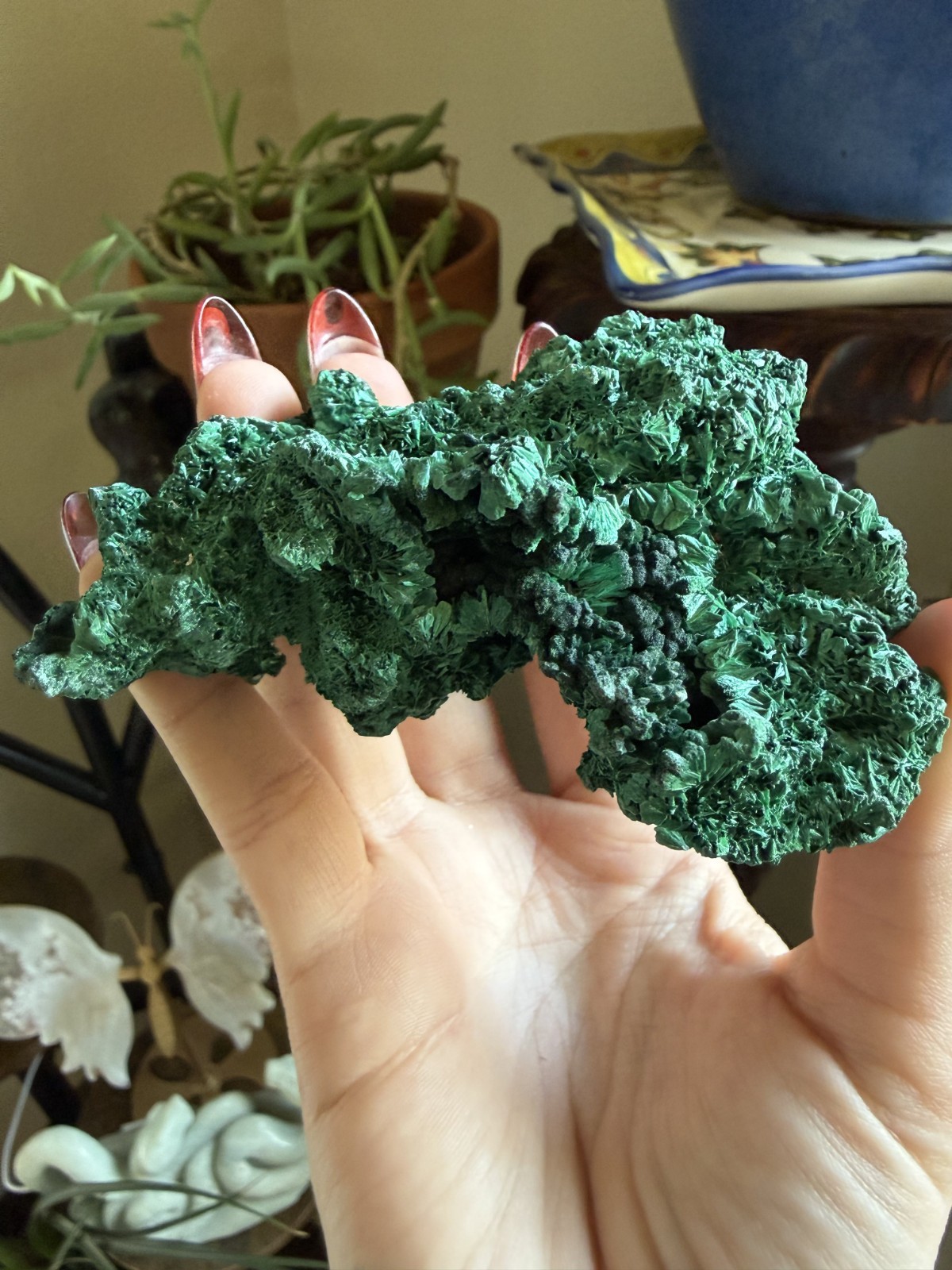 Malachite Crystal Specimen (Floating, No Matrix) – 5.68 oz