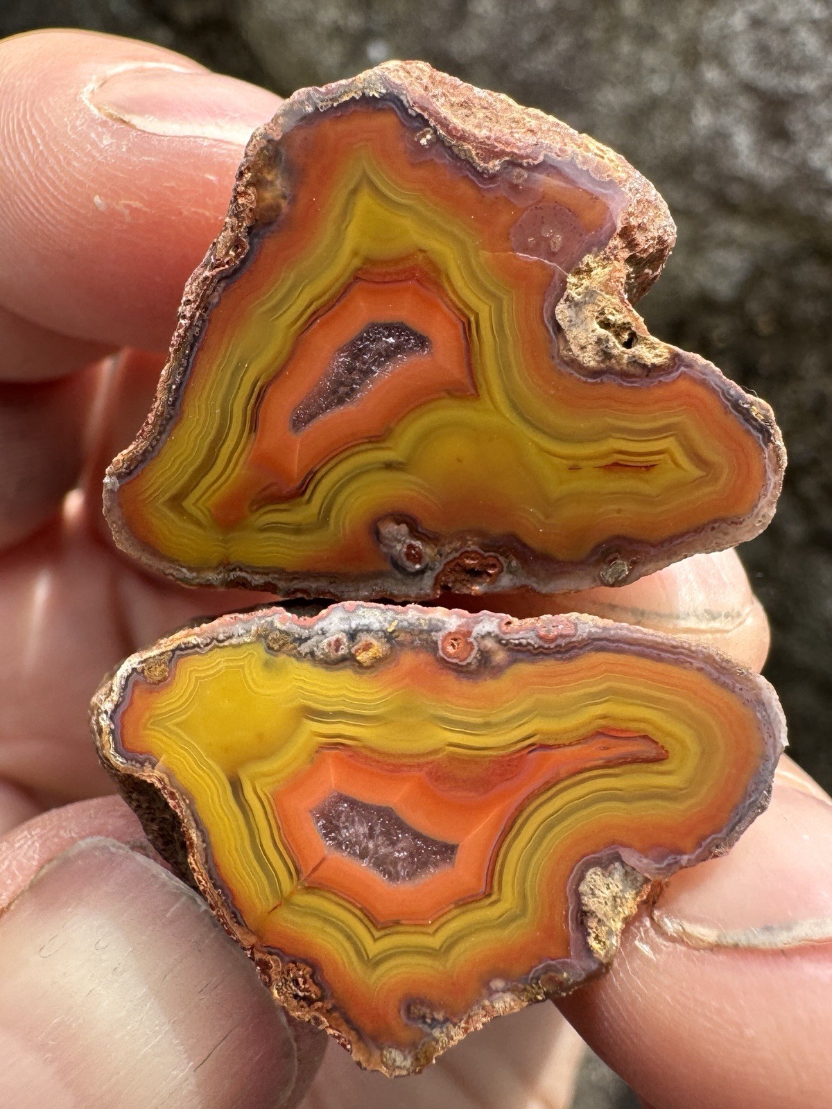 0.6oz Alimajo Malawi Agate Polished Pair From Africa