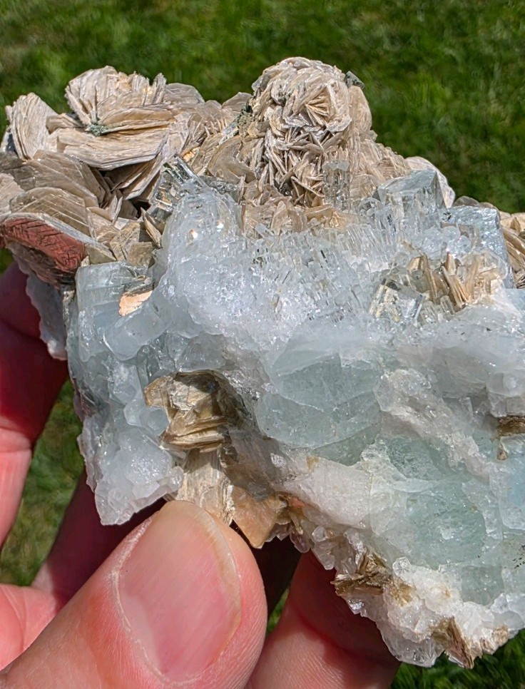 Aquamarine Crystal Garden on Muscovite