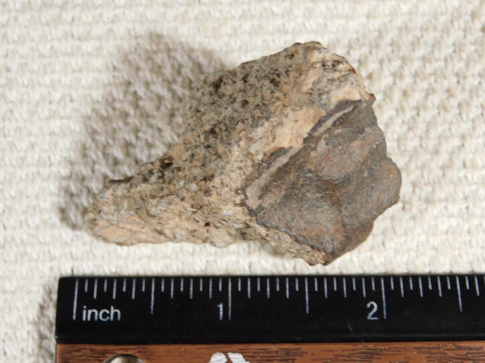 Classified NWA 8245 METEORITE Spots of Dark Fusion Crust! Erfoud, Morocco 55.4gr