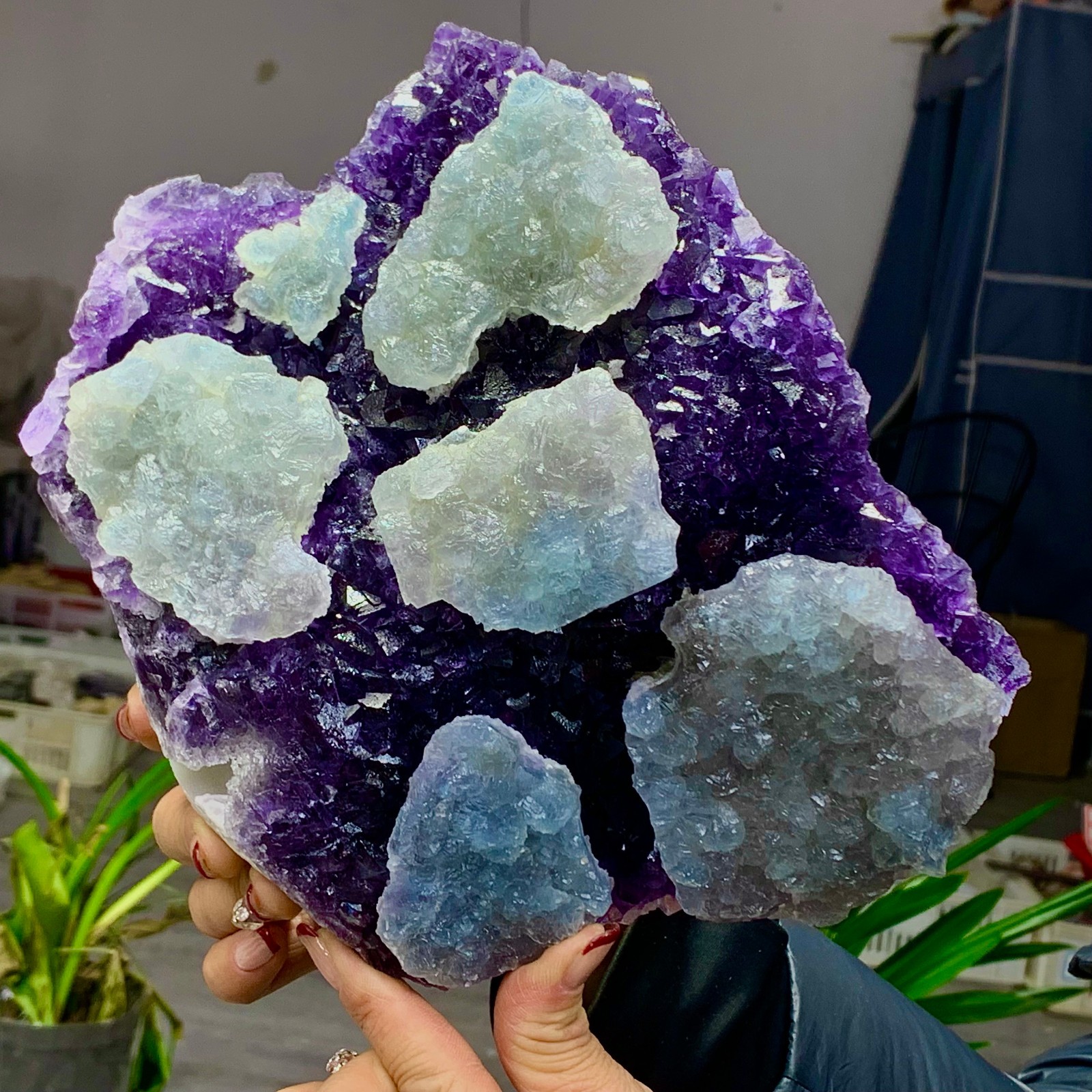 8.6LB Rare Purple Green blue cubic fluorite mineral crystal sample/Zhejiang