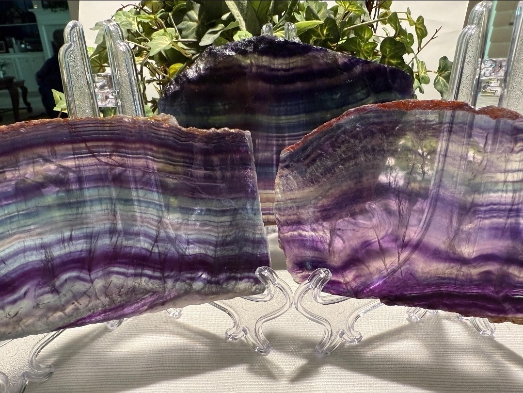 🌈 Natural Rainbow Fluorite Slab 1.3-1.8 lb 🌈 Polished Display Crystal Mineral