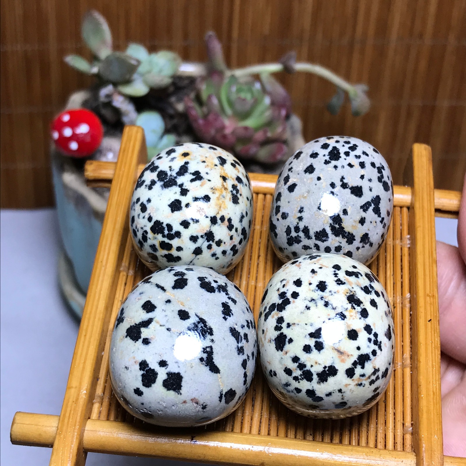 28-23-23mm 4Pcs Natural spotted stone Crystal gemstone Mineral Specimen A4404