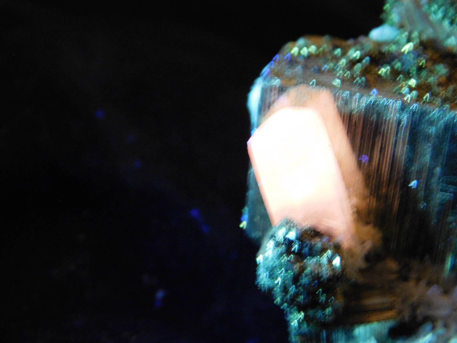 FLUORESCENT Calcite Crystal with PYRITE Crystal CUBES! From Peru 295gr