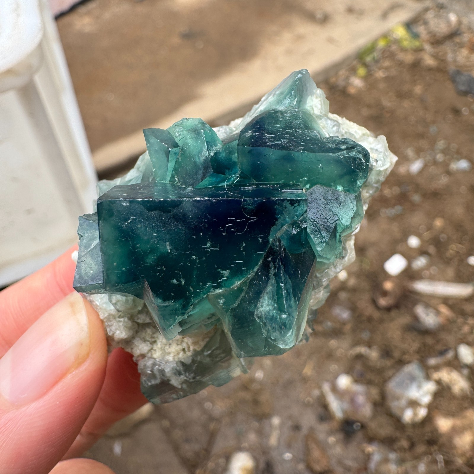 70G Natural cubic green fluorite crystal cluster rough mineral specimen Healing