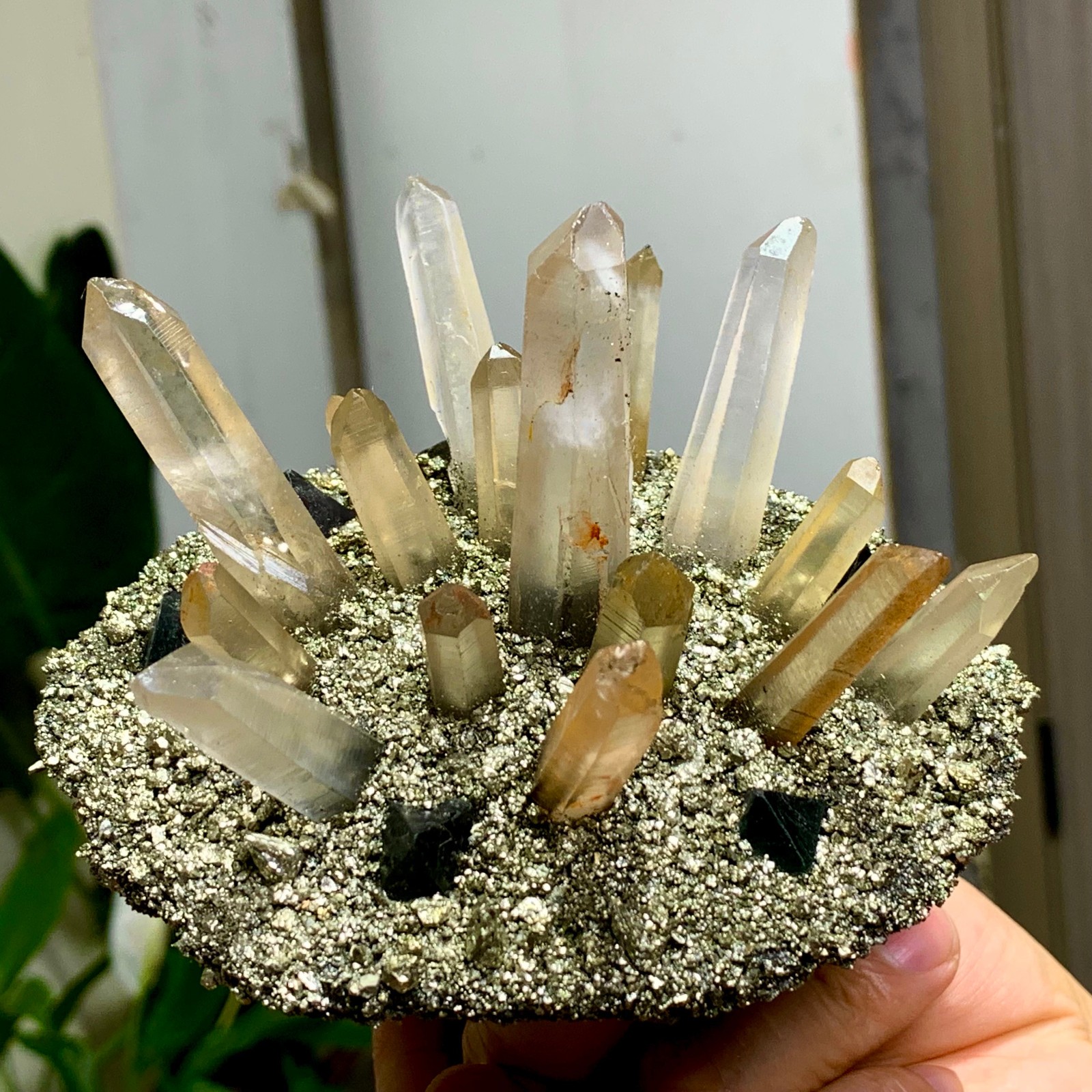 492G Coexistence of natural quartz and pyrite green fluorite crystal clusters