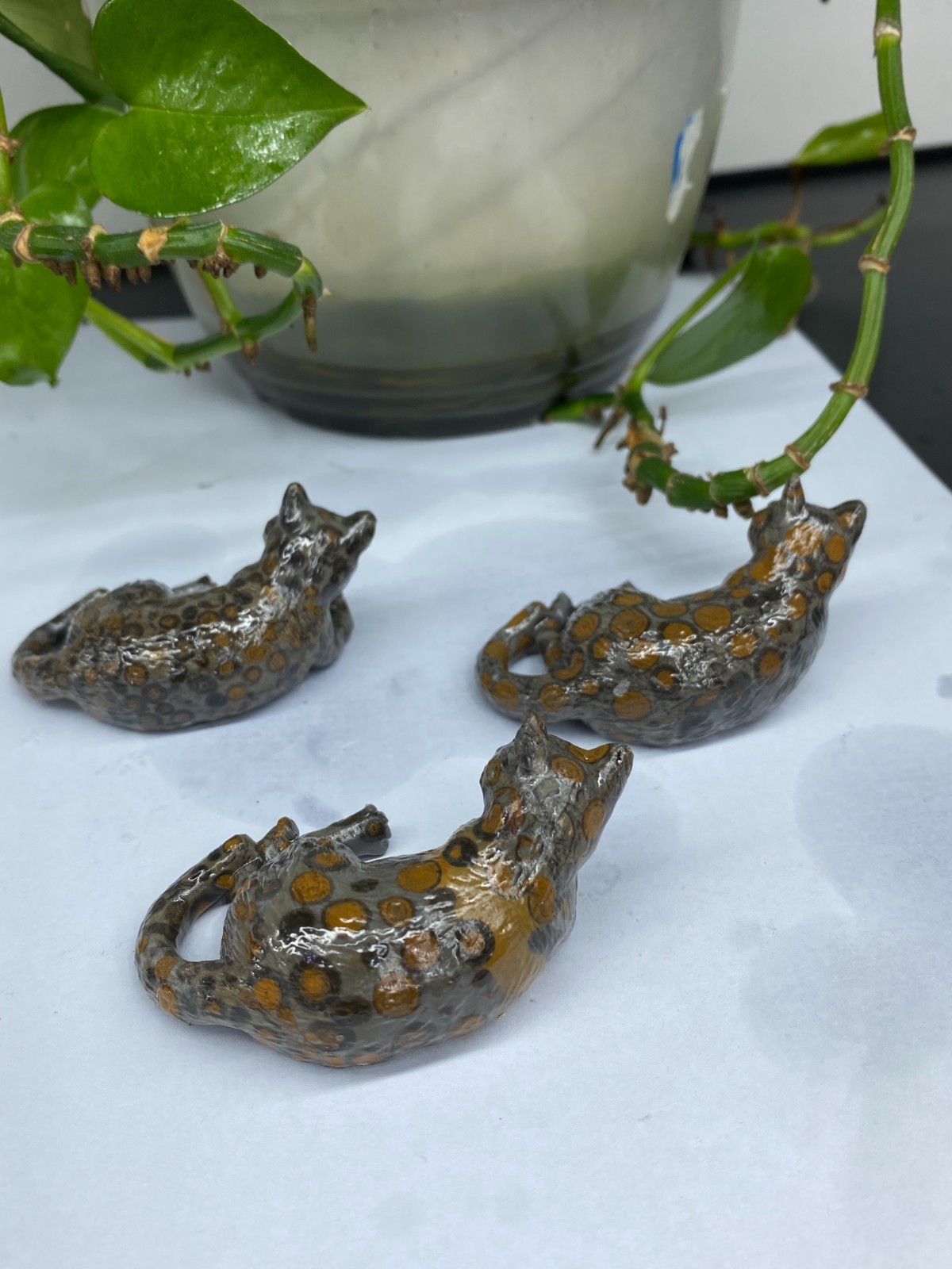 3pc Natural Moneystone Quartz hand Carved Cat skull Crystal reiki healing Random