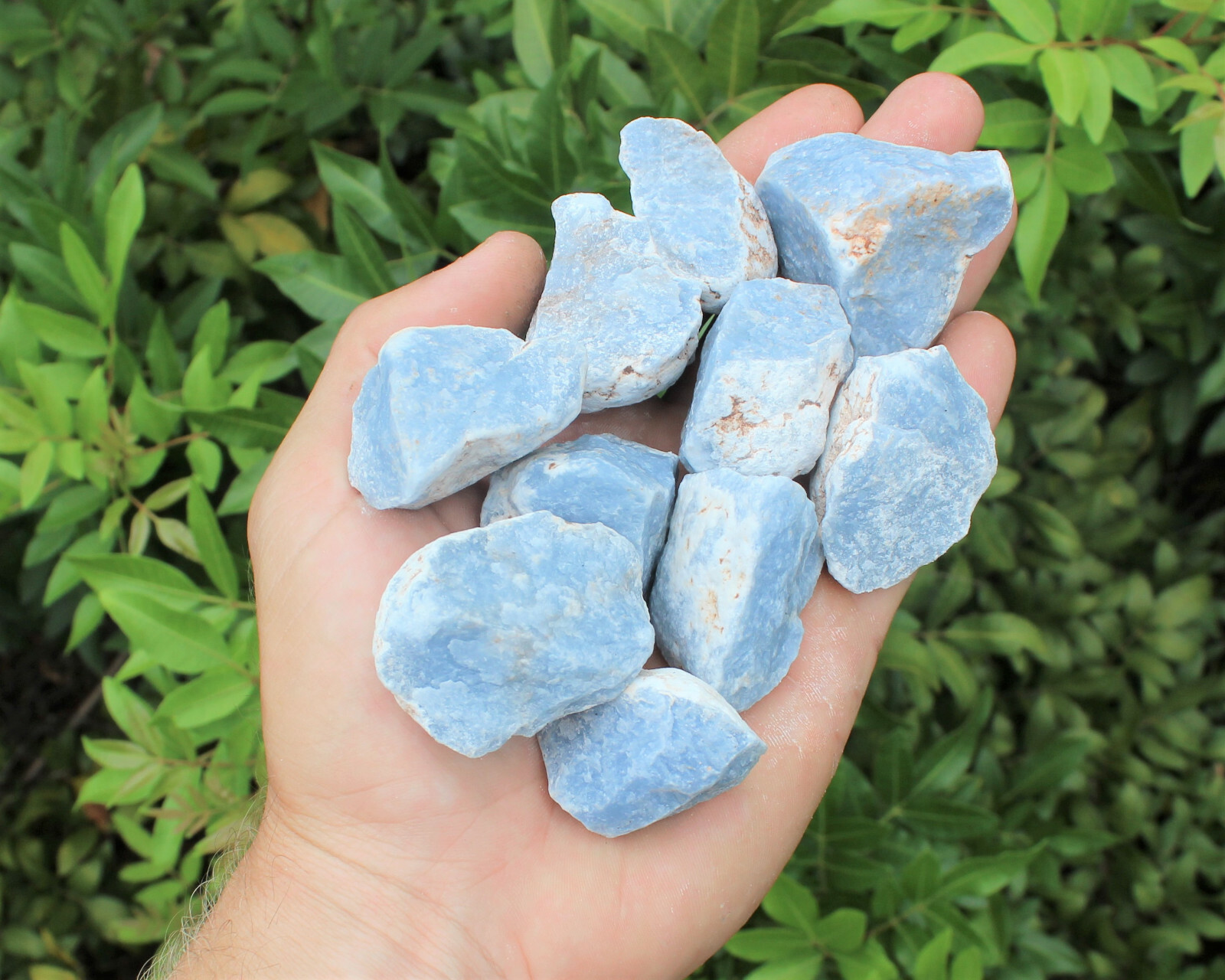 Bulk Lot 3 Pieces Rough Natural Angelite Crystals (About 4 – 6 oz)