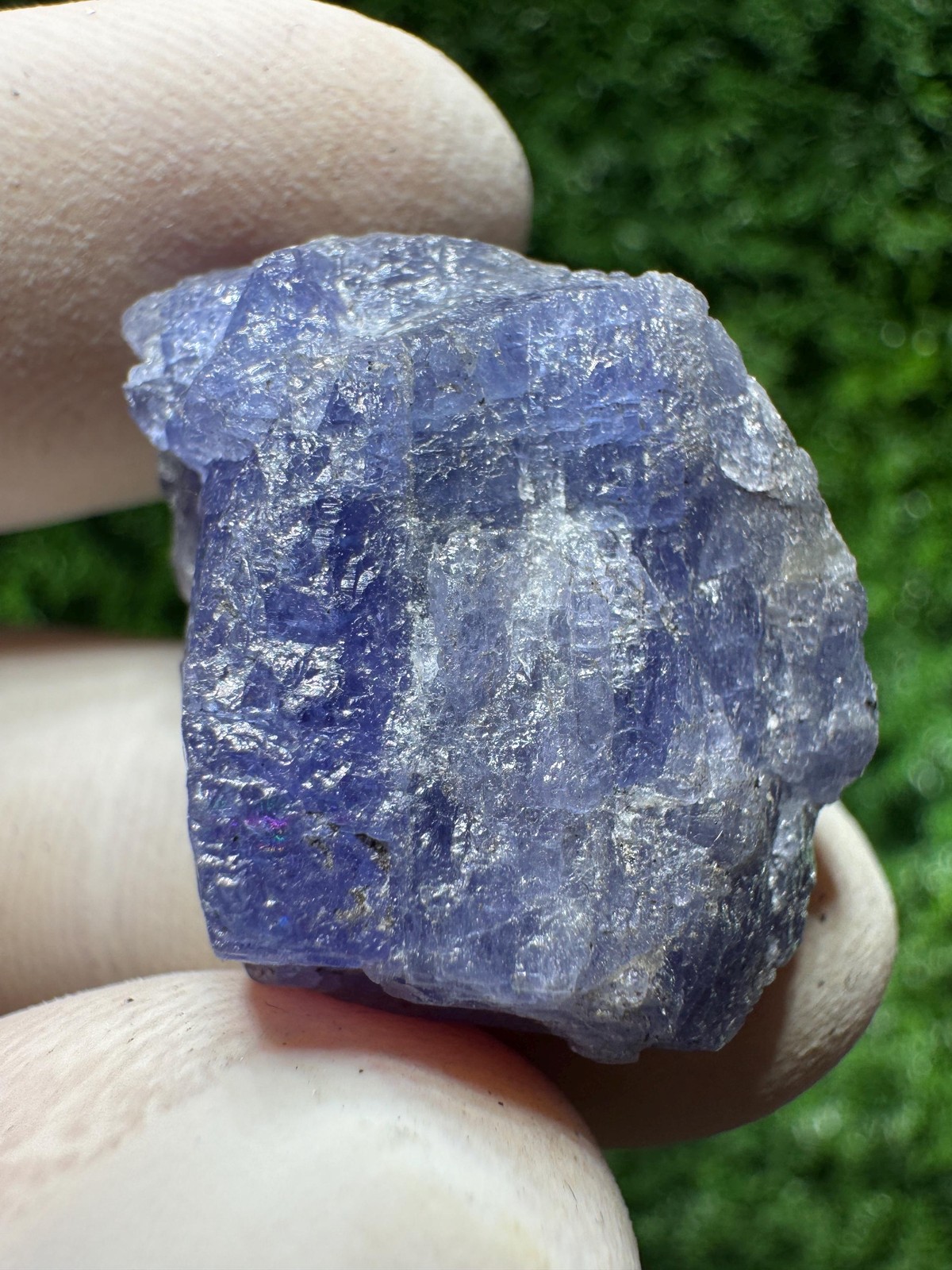Amazing TANZANITE Crystal with COLOR CHANGE under yellow/white light / N441