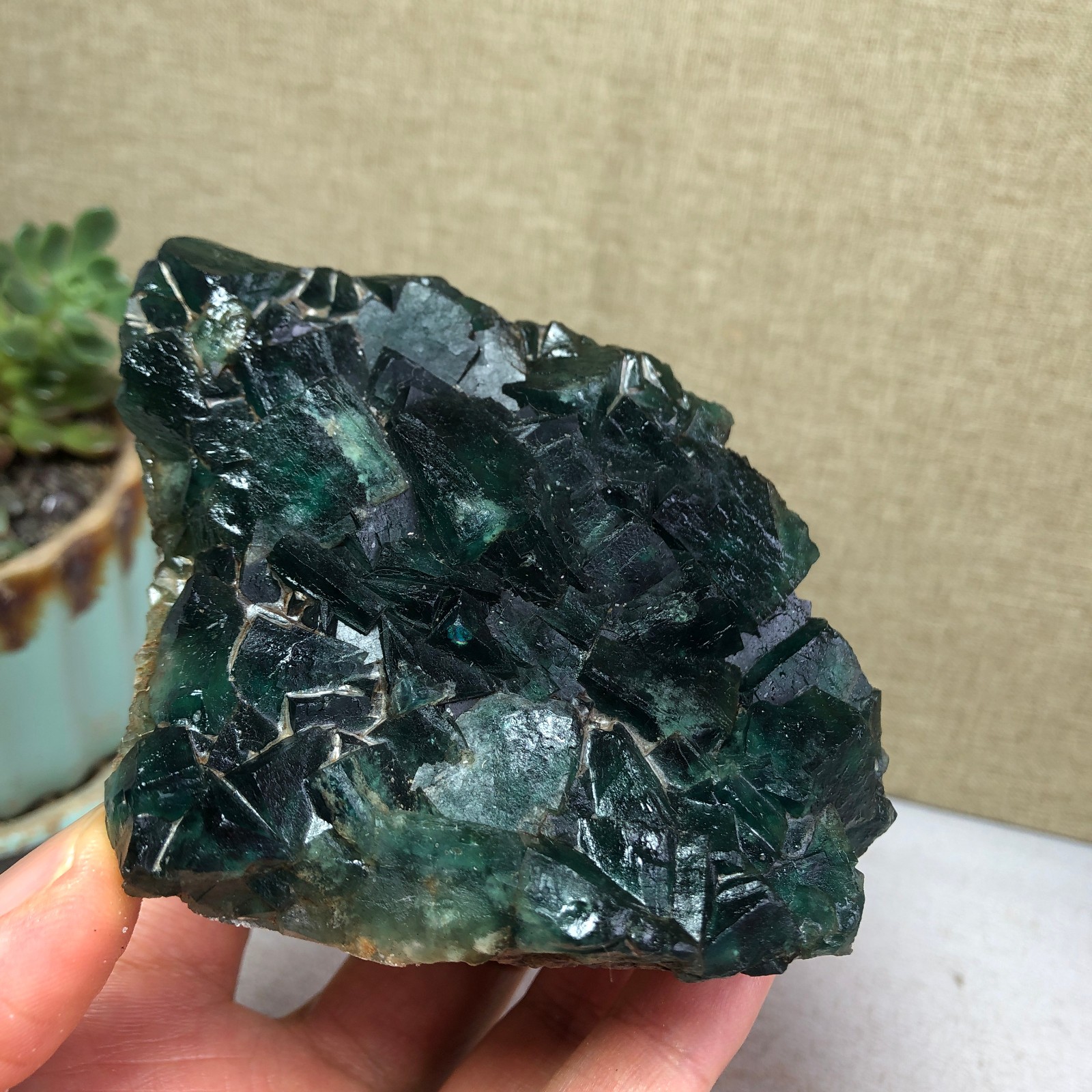 345g NATURAL Green Cubic FLUORITE Crystal Cluster Mineral Specimen A4719