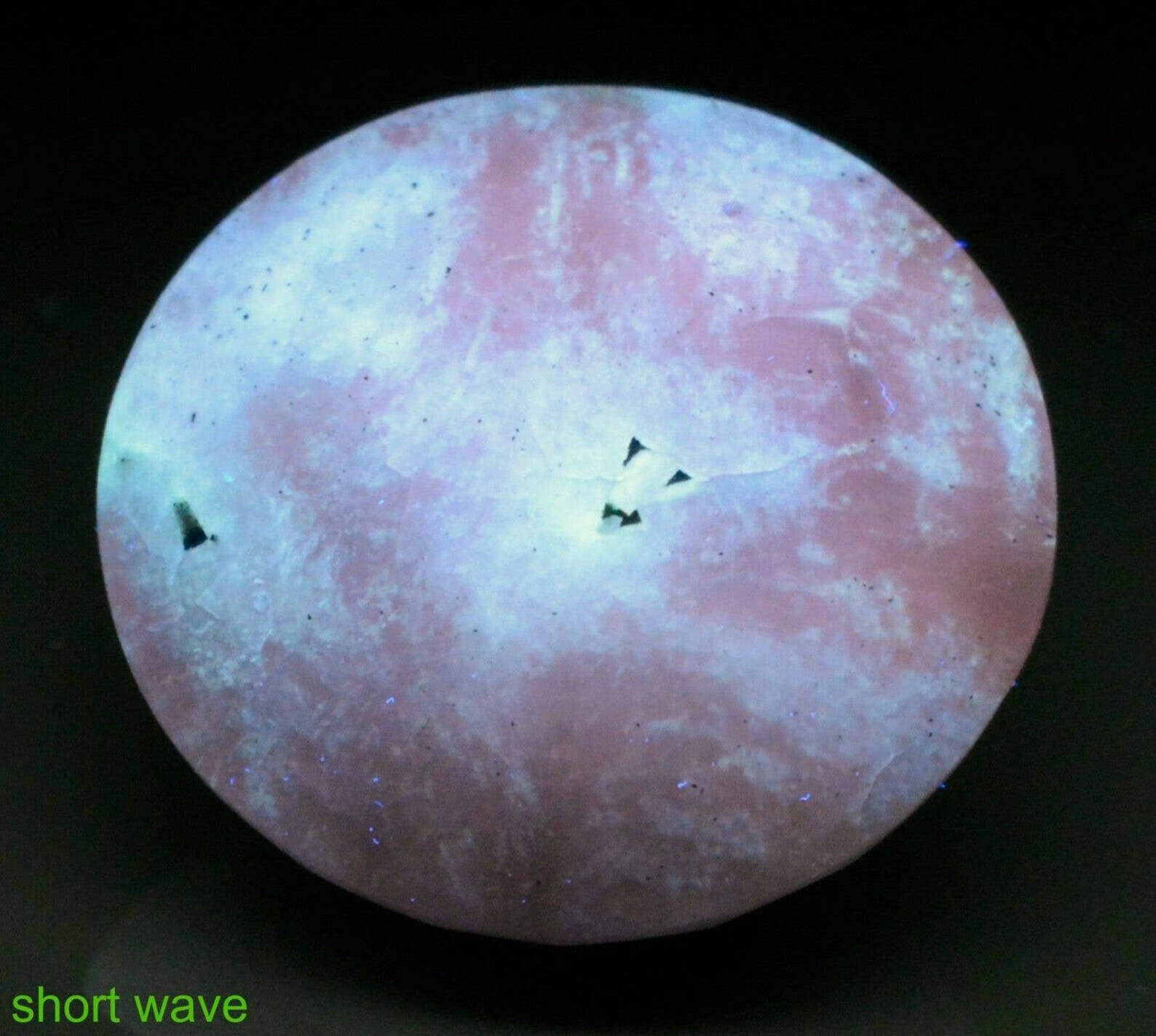 Mystery 14 Ct Fluorescent Phosphorescent Bi-Color Change Round Faceted Sodalite*