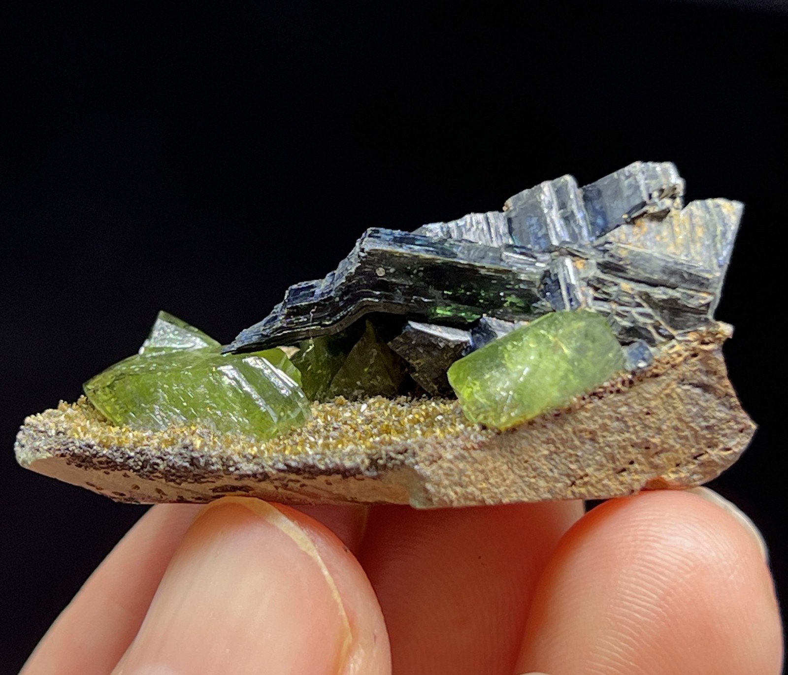 40mm GEMMY Green Ludlamite (LARGE crystals) with Vivianite mined from Brazil