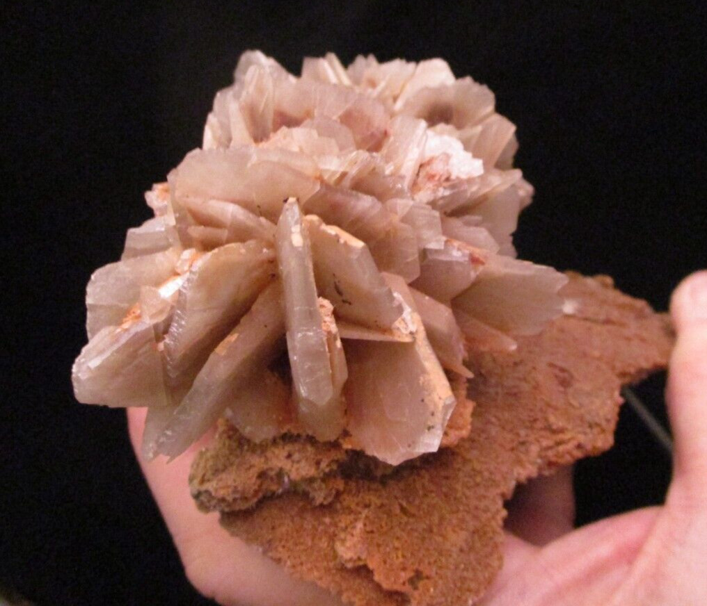 * Interesting and Unique Barite Gem Crystal Blade Clusters on Tan Matrix