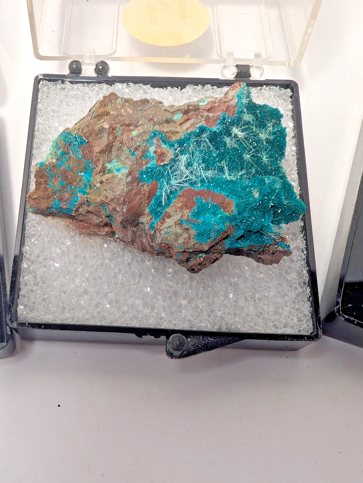 6 Piece Thumbnail Mineral Lot Celestite Vanadinite Bornite in Display Boxes