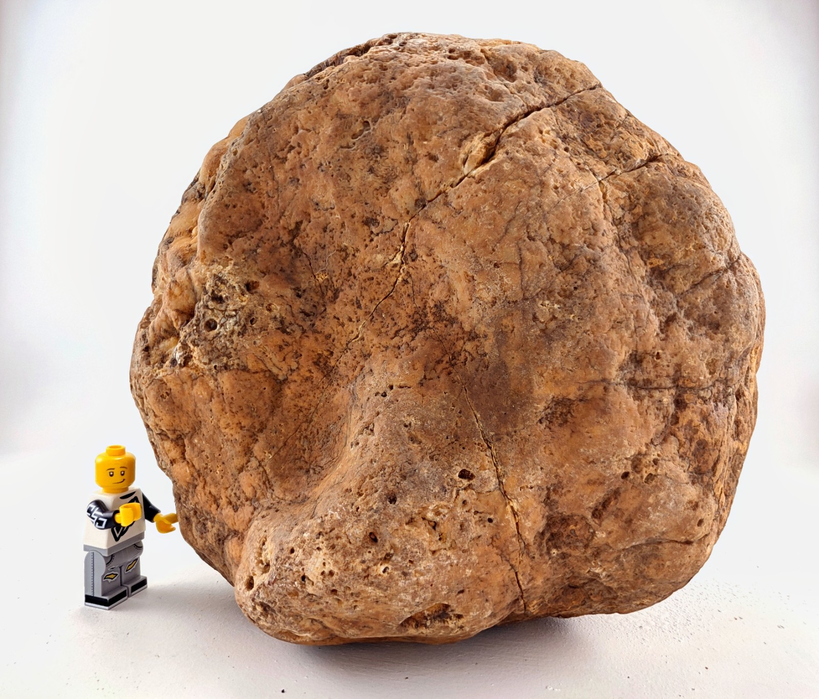 7″ Unopened Kentucky Geode Nodule Natural Quartz Crystal 6.8 LB Dense Specimen
