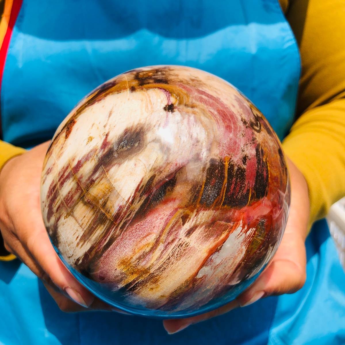 4.59LB Natural Petrified Wood Sphere Polished Crystal Ball reiki healing