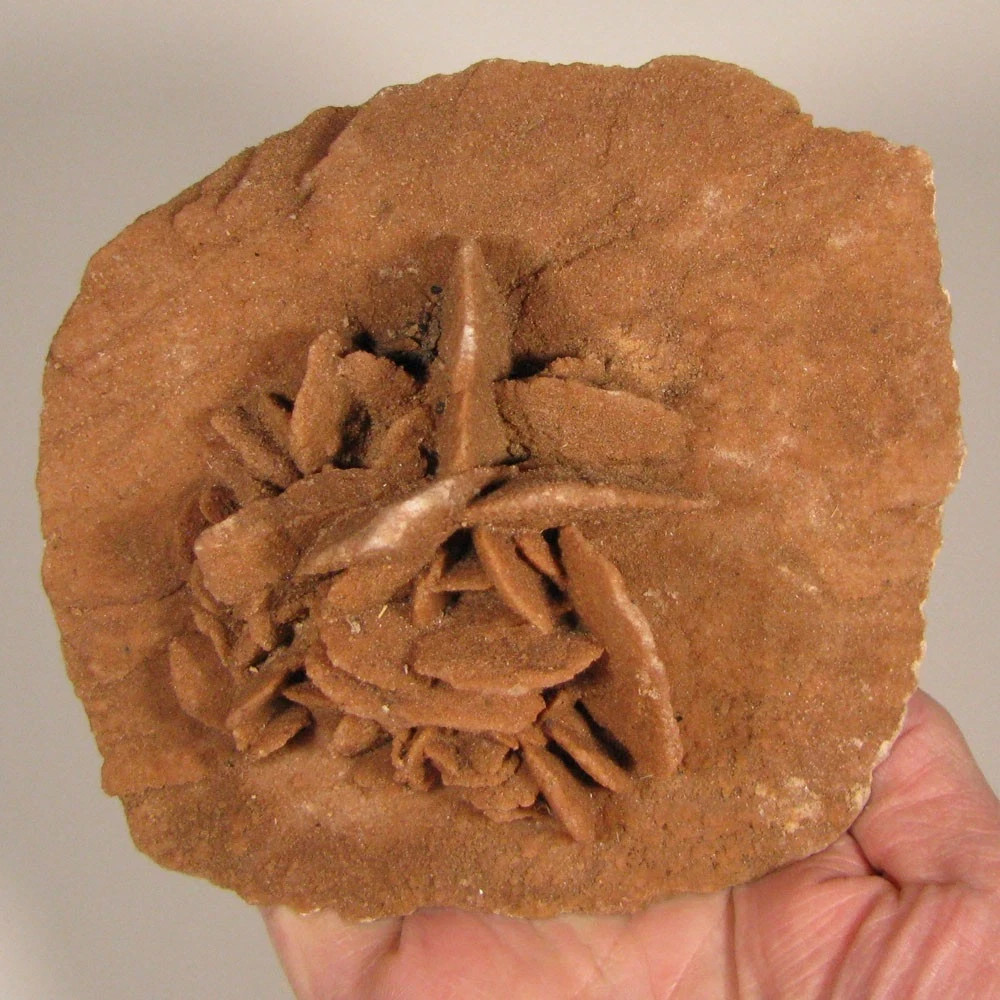 5.8″ Gypsum SELENITE Desert Rose Crystals Cluster – Morocco – 1.2 lbs.