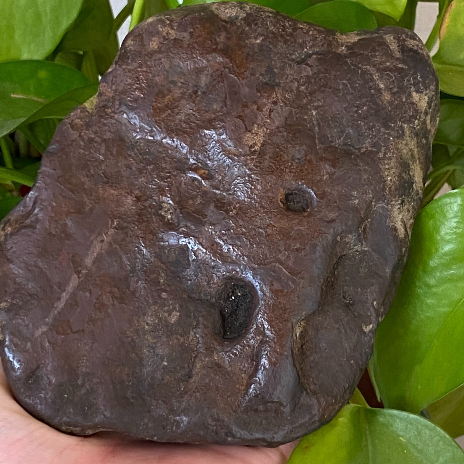 1357g Natural Iron Meteorite Specimen from China W380