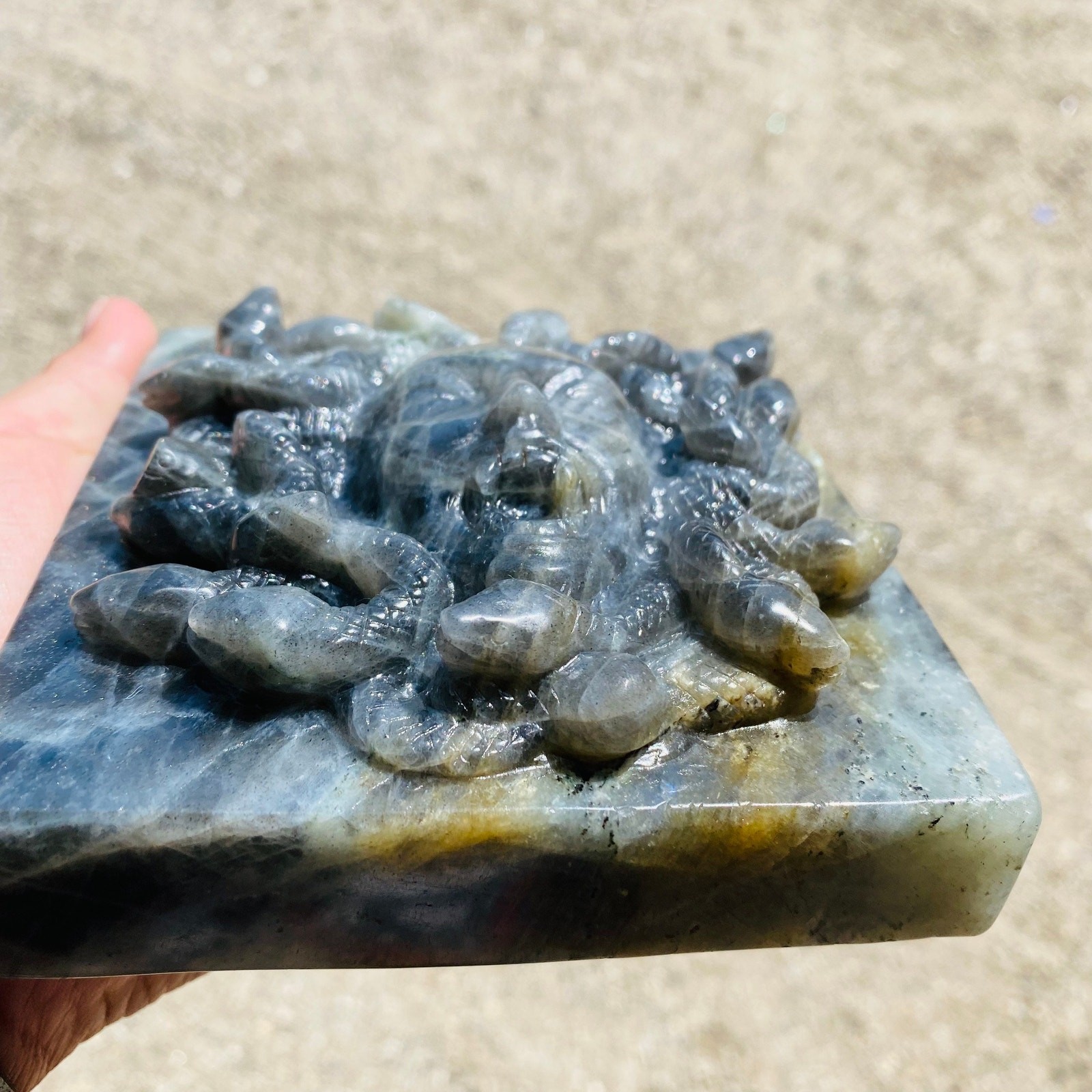 Beautiful Labradorite Medusa Carving. Over 2kg!