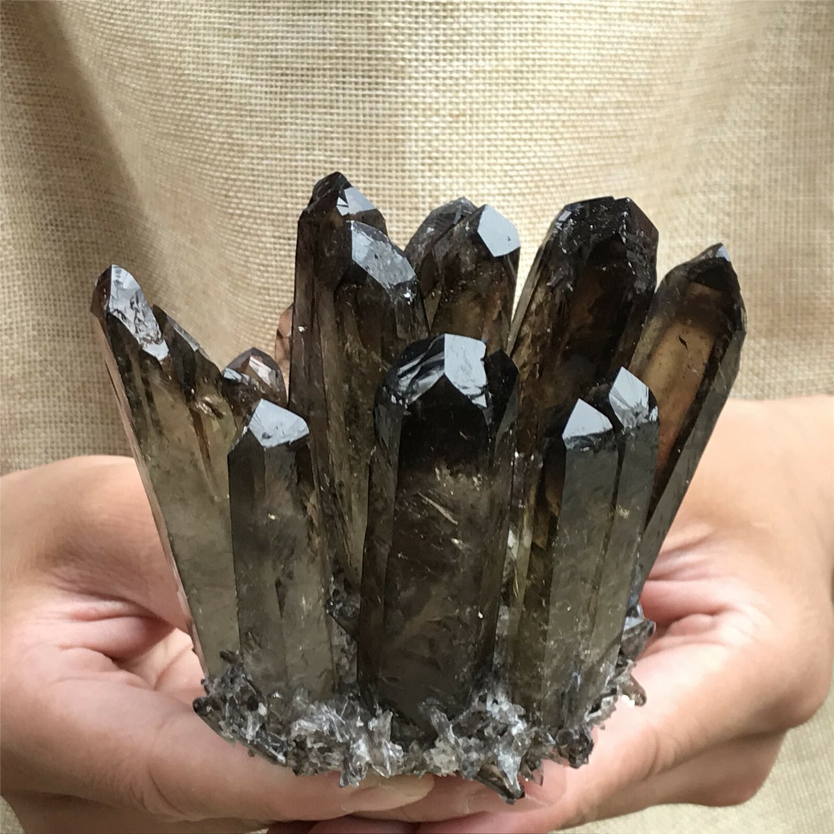 300g+ Natural Smoky Quartz Cluster – Stunning Earthy Crystal Specimen