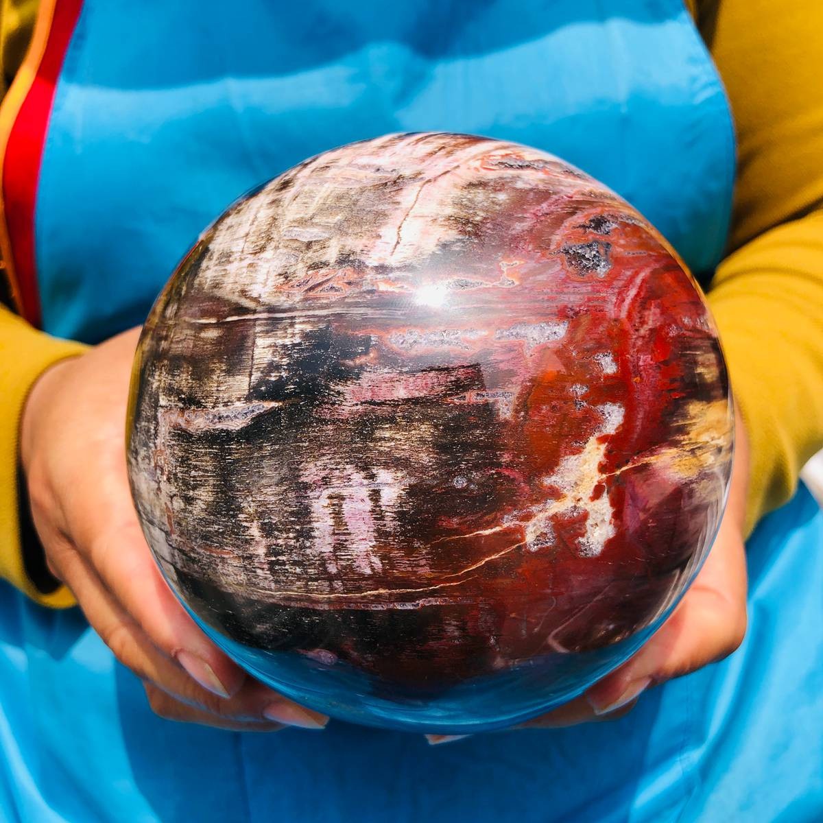 5.06LB Rare Natural Petrified Wood Ball Crystal Quartz Mineral Healing 4705