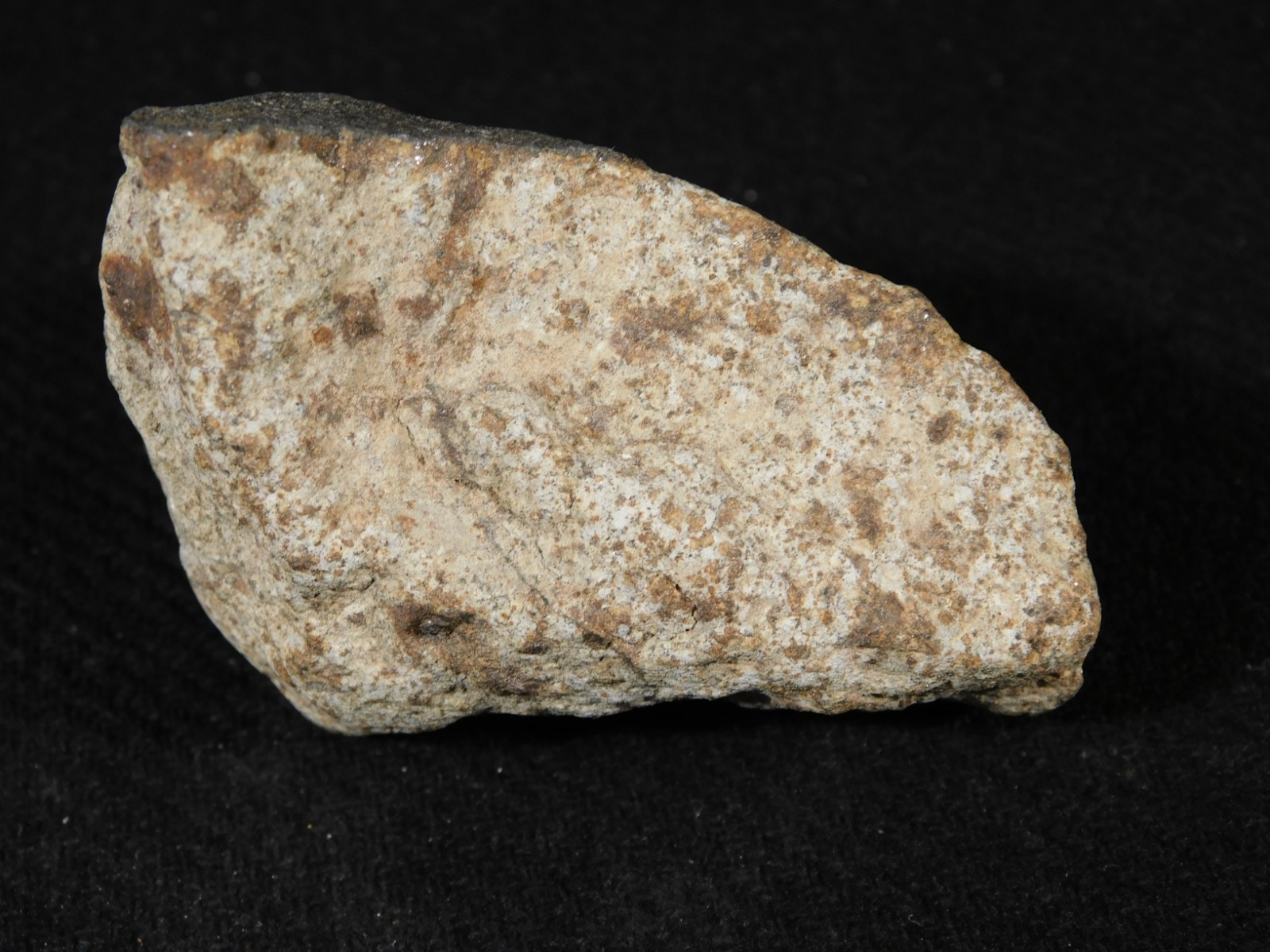 Classified NWA 8245 METEORITE 100% Natural Erfoud, Morocco 147gr