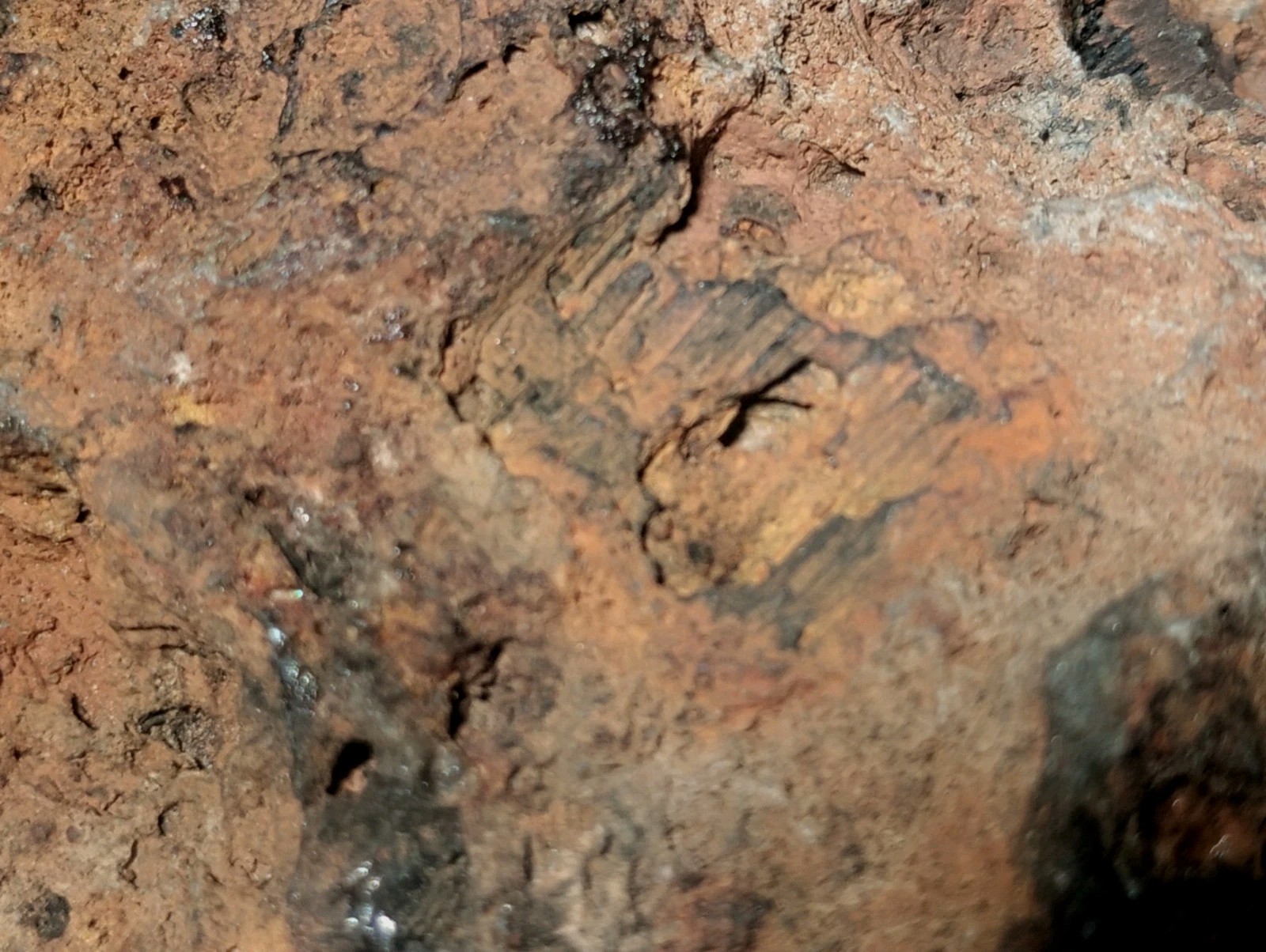 8″ Rare Missouri Iron-Aged Fossil Wood in Smoky Chalcedony – Knob Creek