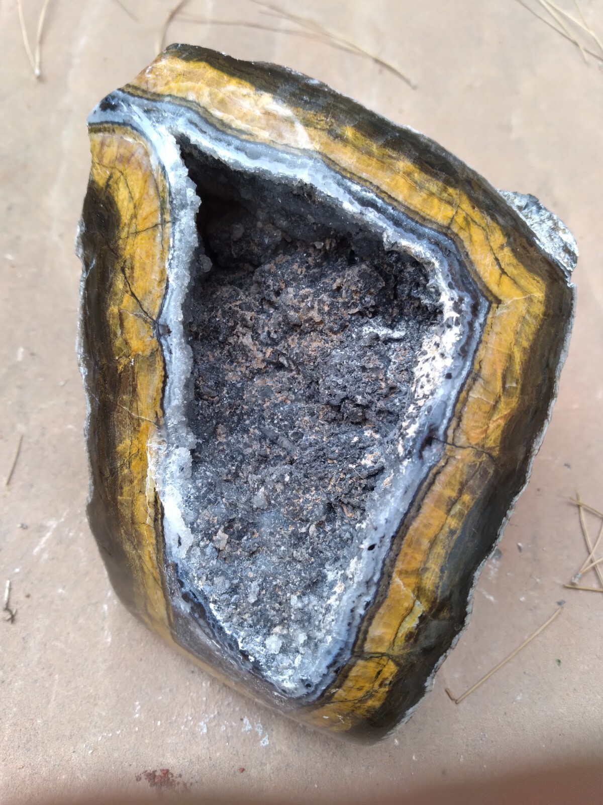 Black And Gold Specimen (New Mexico), 3 lbs & 8 ounces