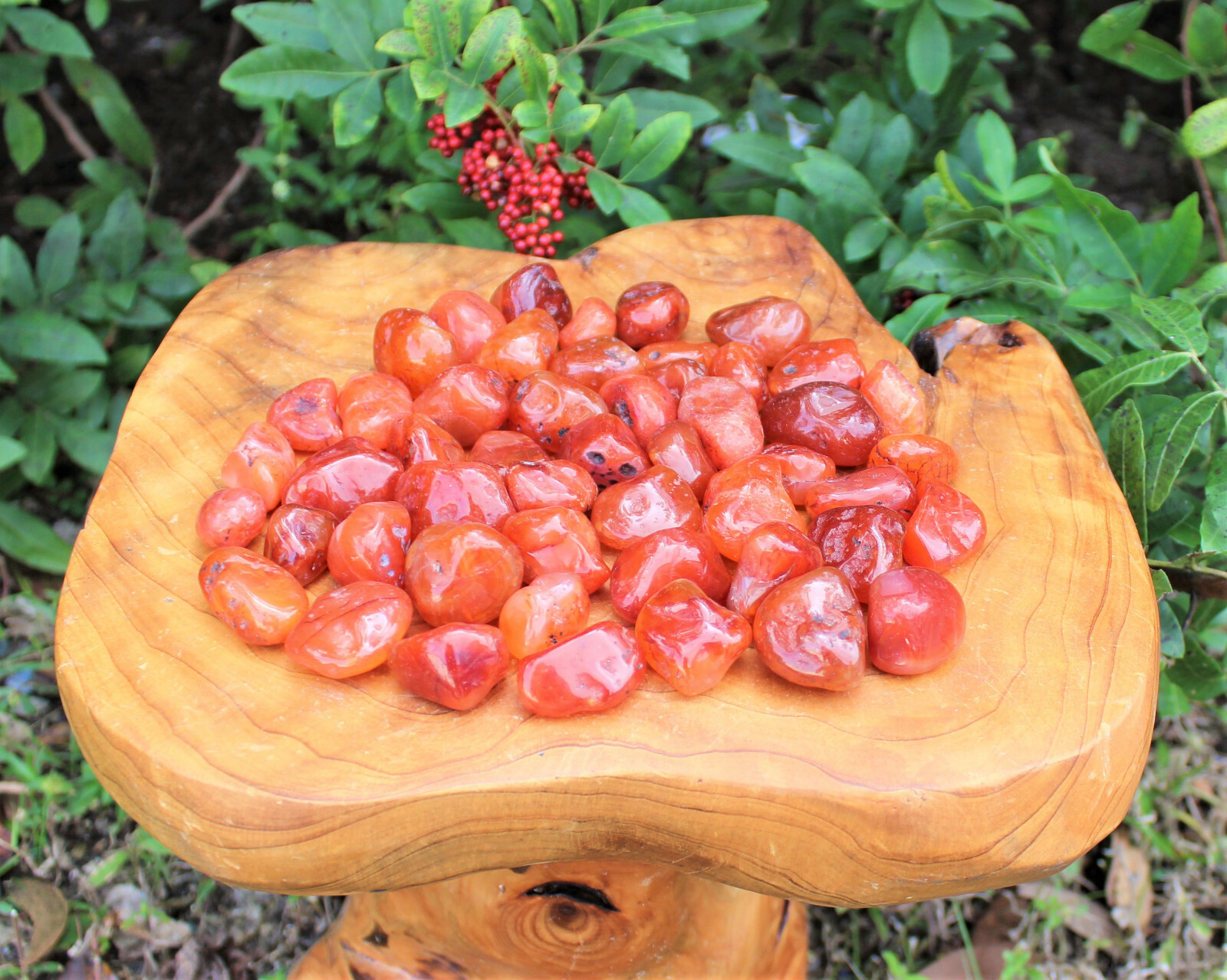5 Carnelian Tumbled Stones, Medium (Crystal Healing Gemstone Reiki) US Seller